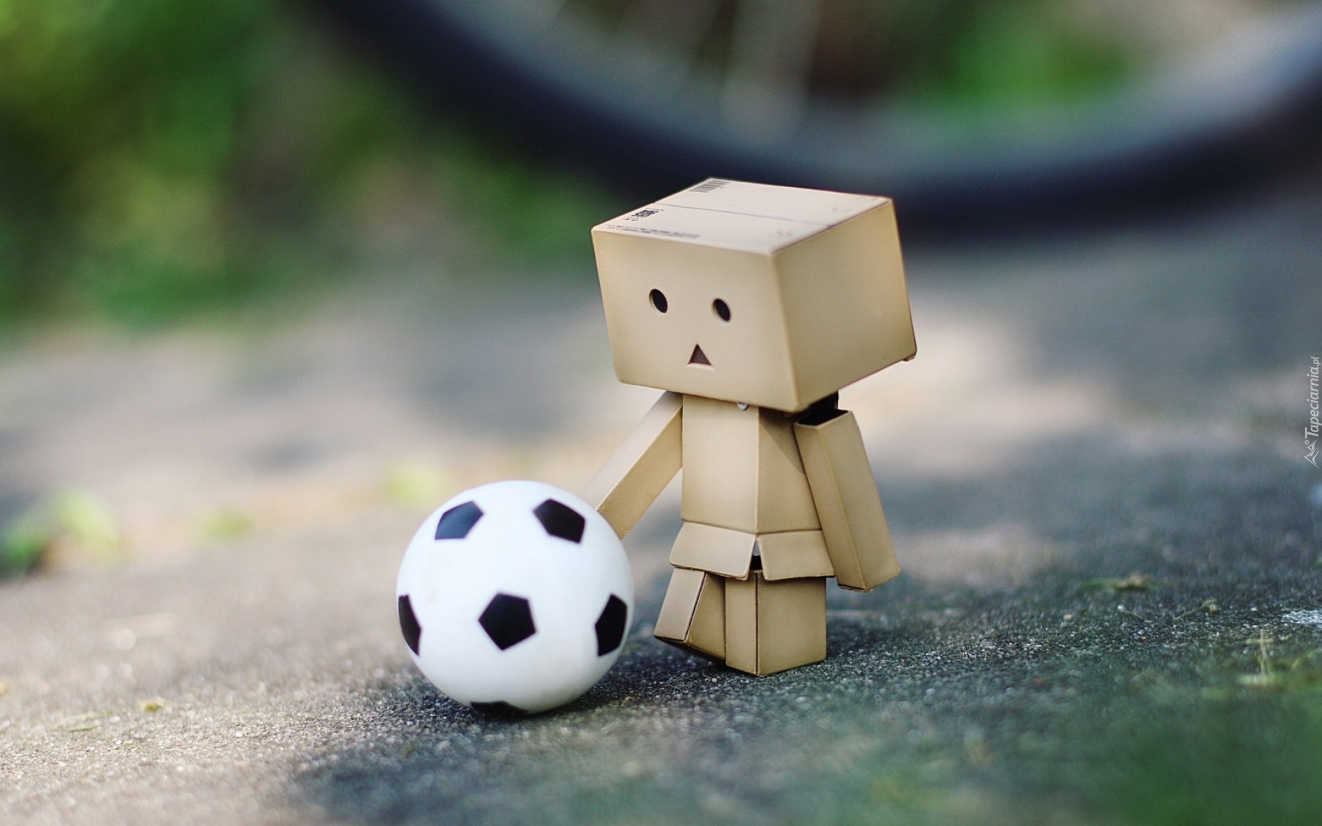 Danbo, Piłka