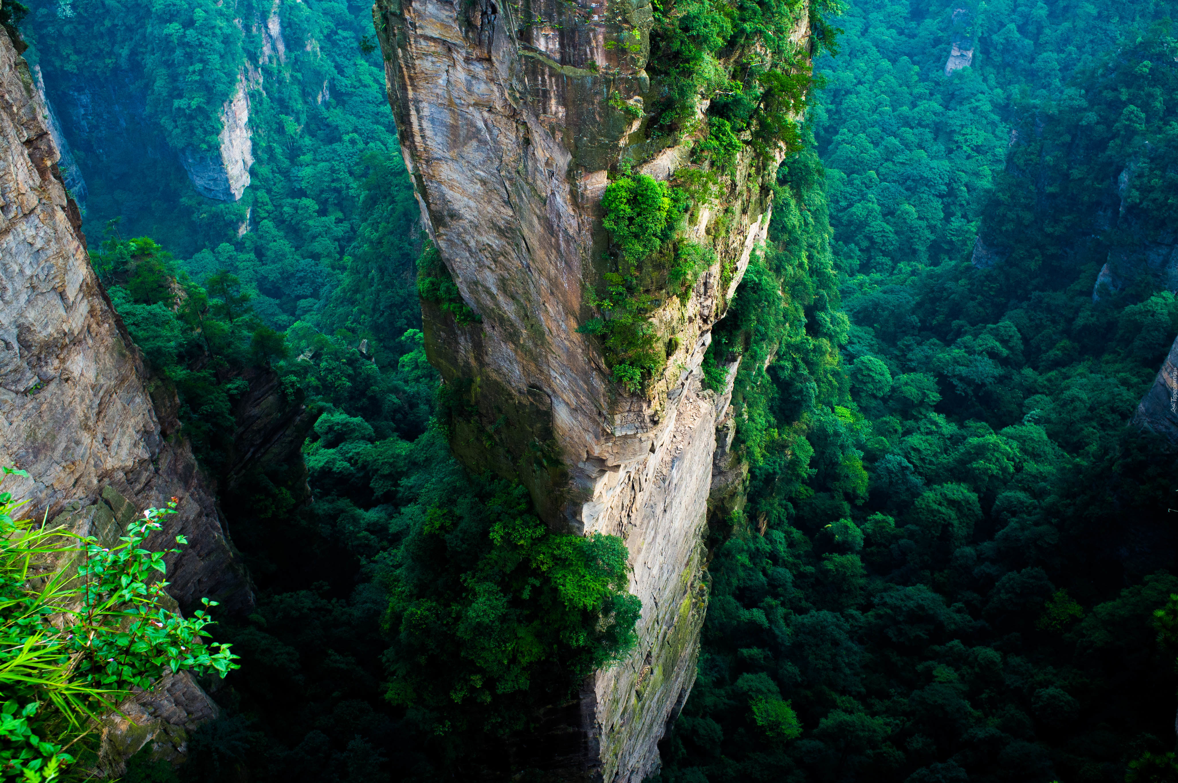 Góry, Lasy, Przebijające, Światło, Park, Narodowy, Zhangjiajie