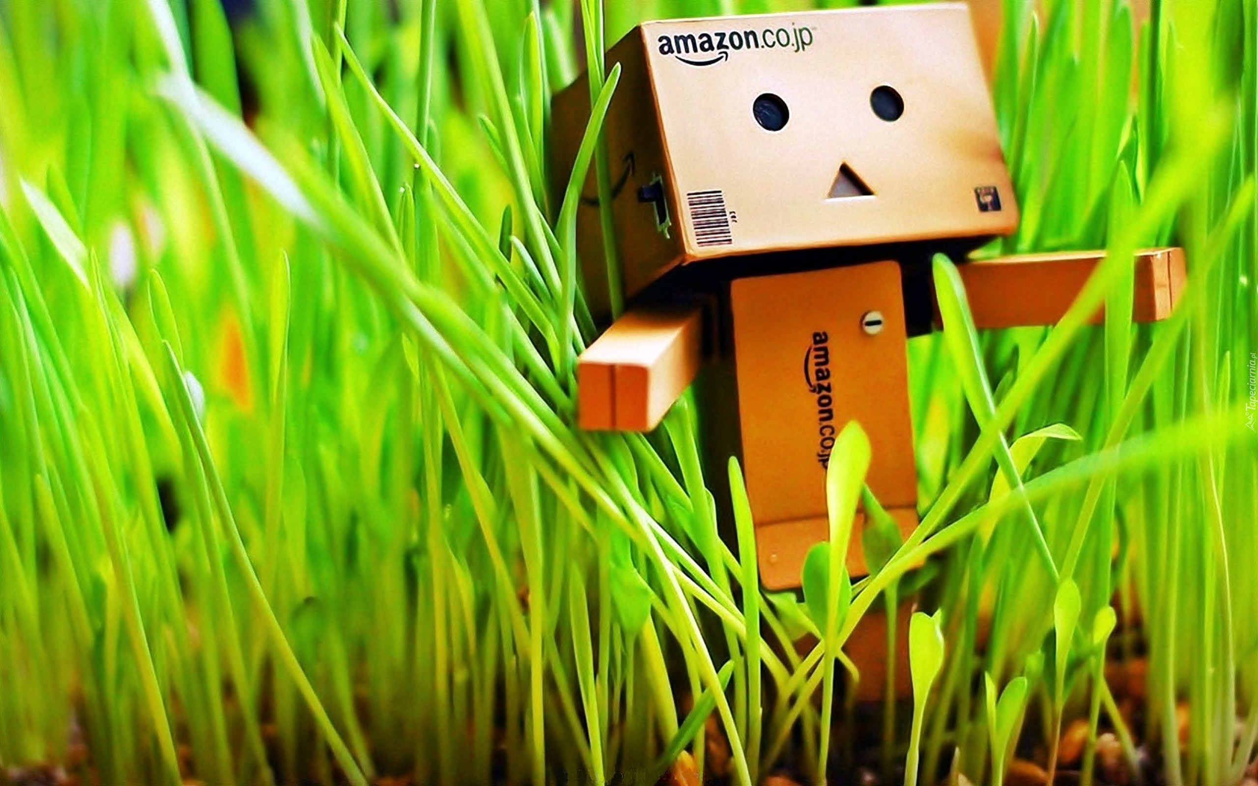 amazon danbo bmx загрузить