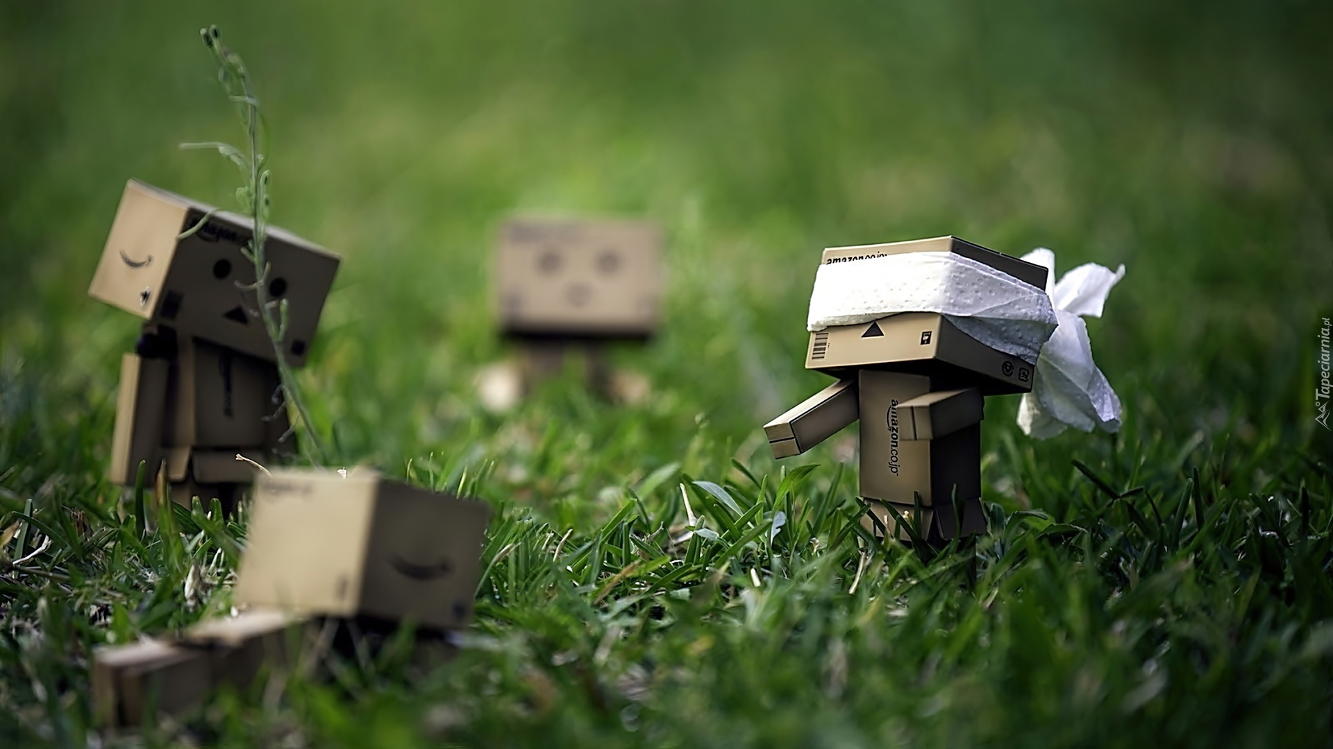 Danbo, Trawa, Zabawa, W Ciuciubabkę