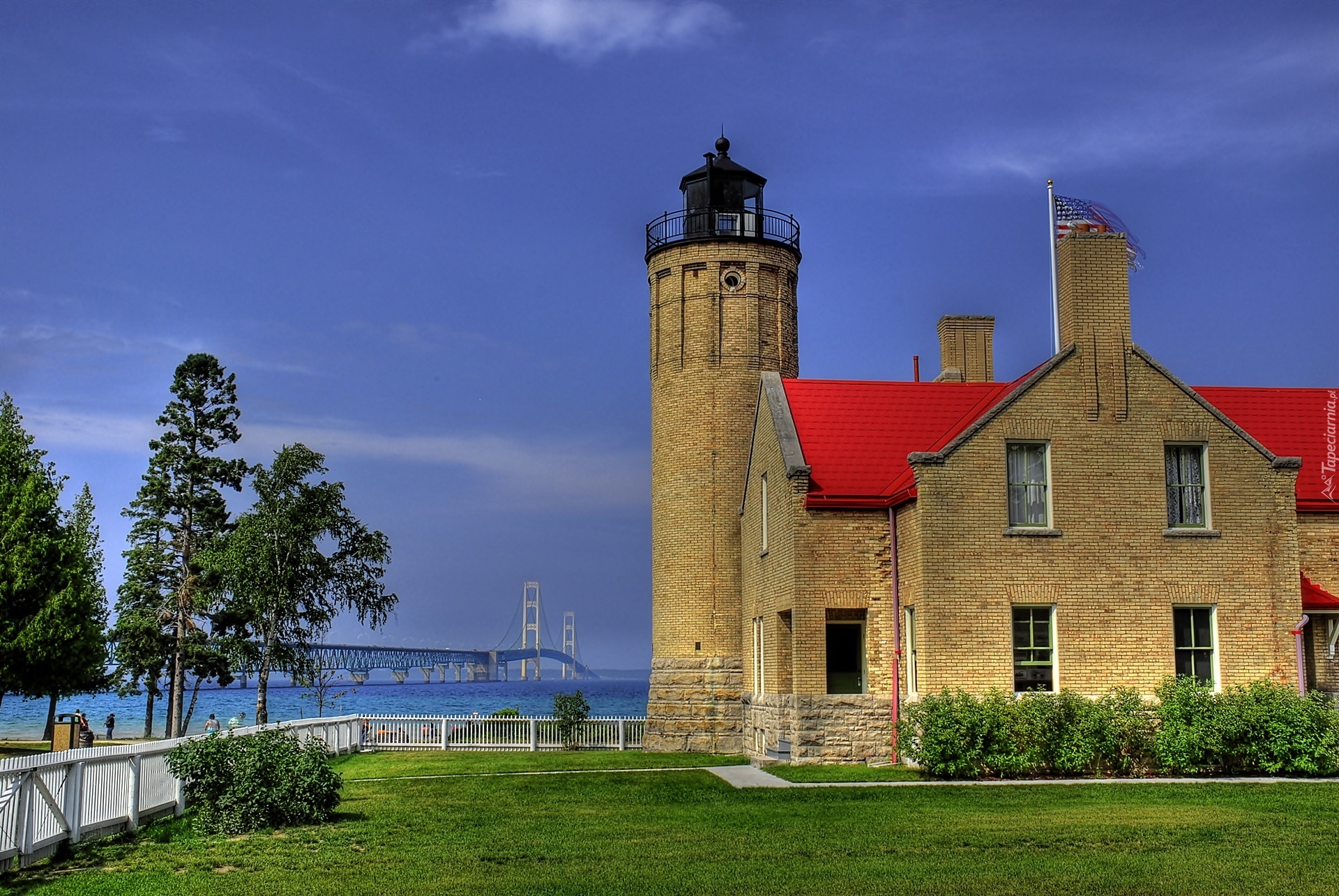 Latarnia, Morska, Roślinność, Morze, Most, Golden, Gate