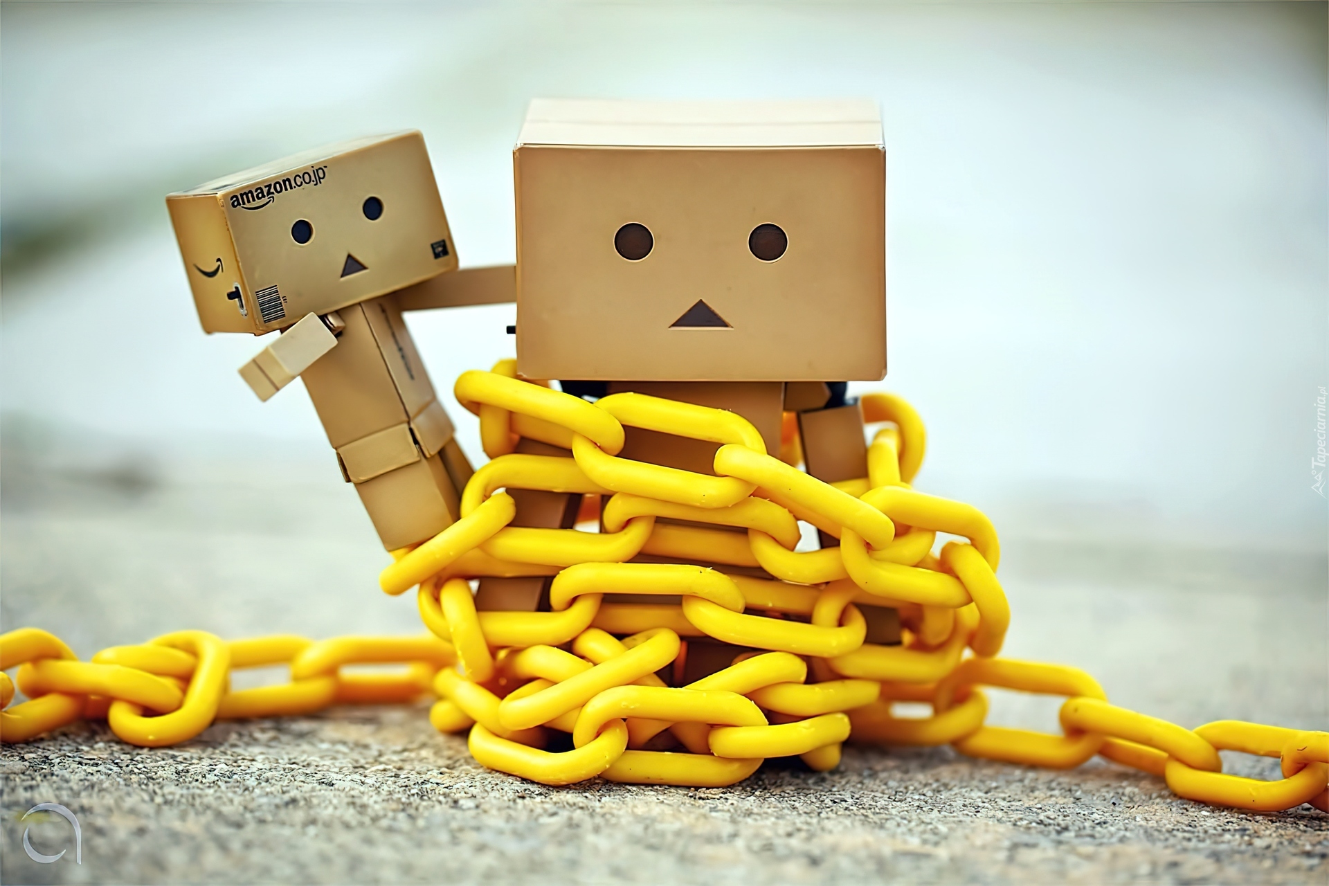 Danbo, Łańcuch