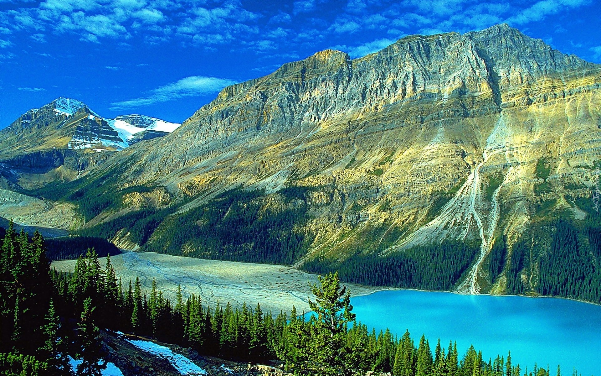 Kanada, Park Narodowy Banff, Lato, Góry, Lasy, Jezioro Peyto Lake