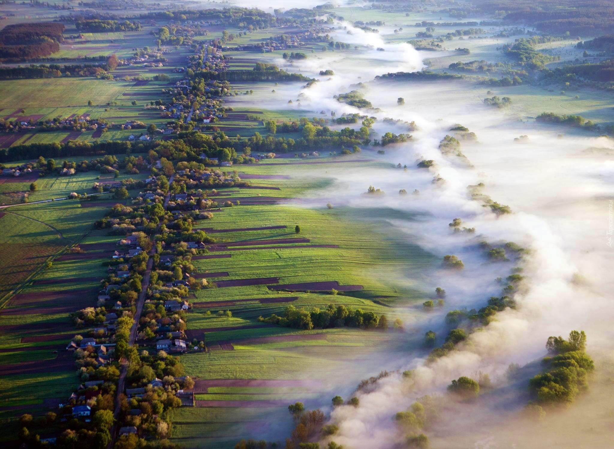 Panorama, Mgła, Łąki