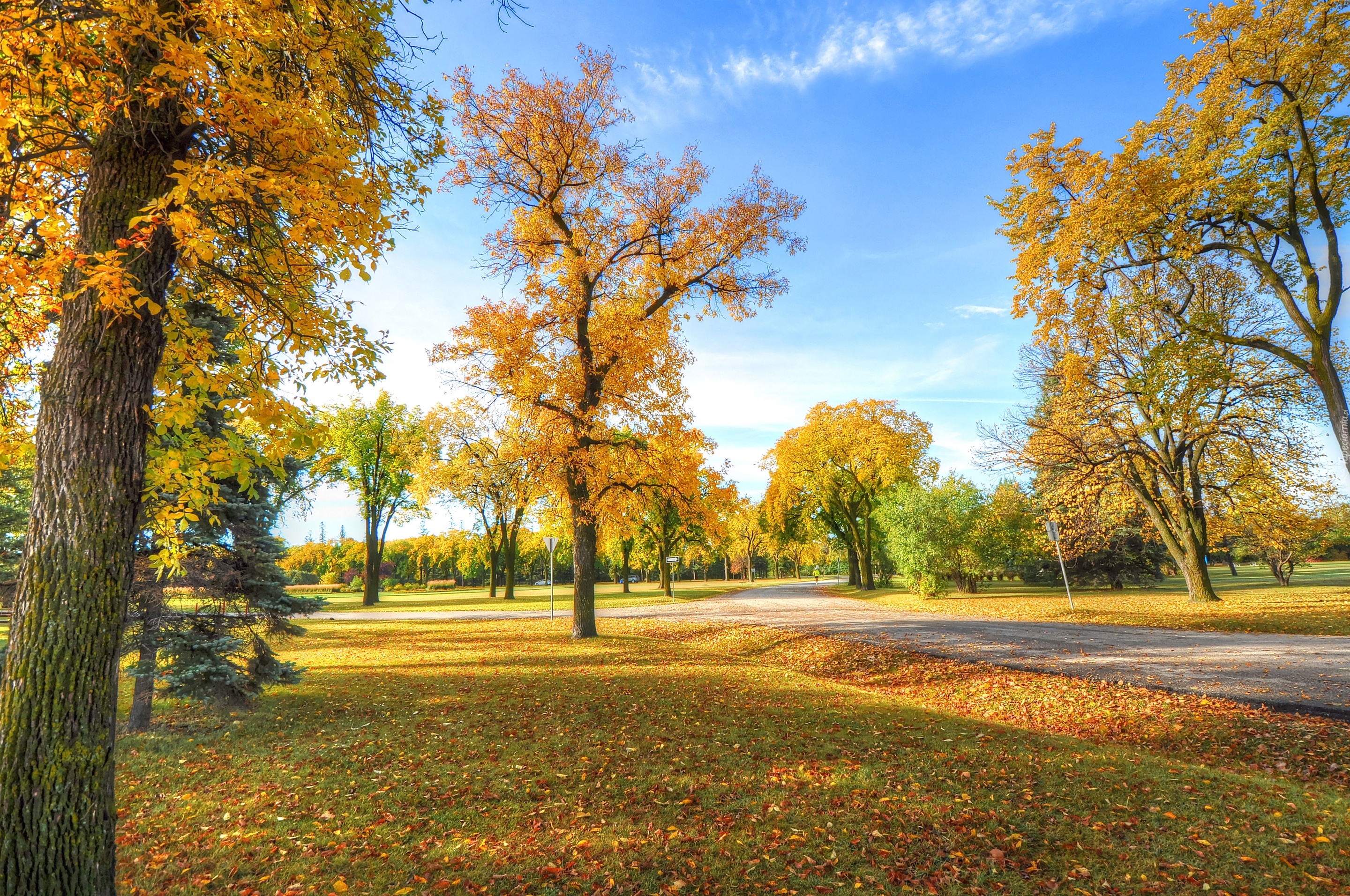 Jesień, Park, Alejka, Liście