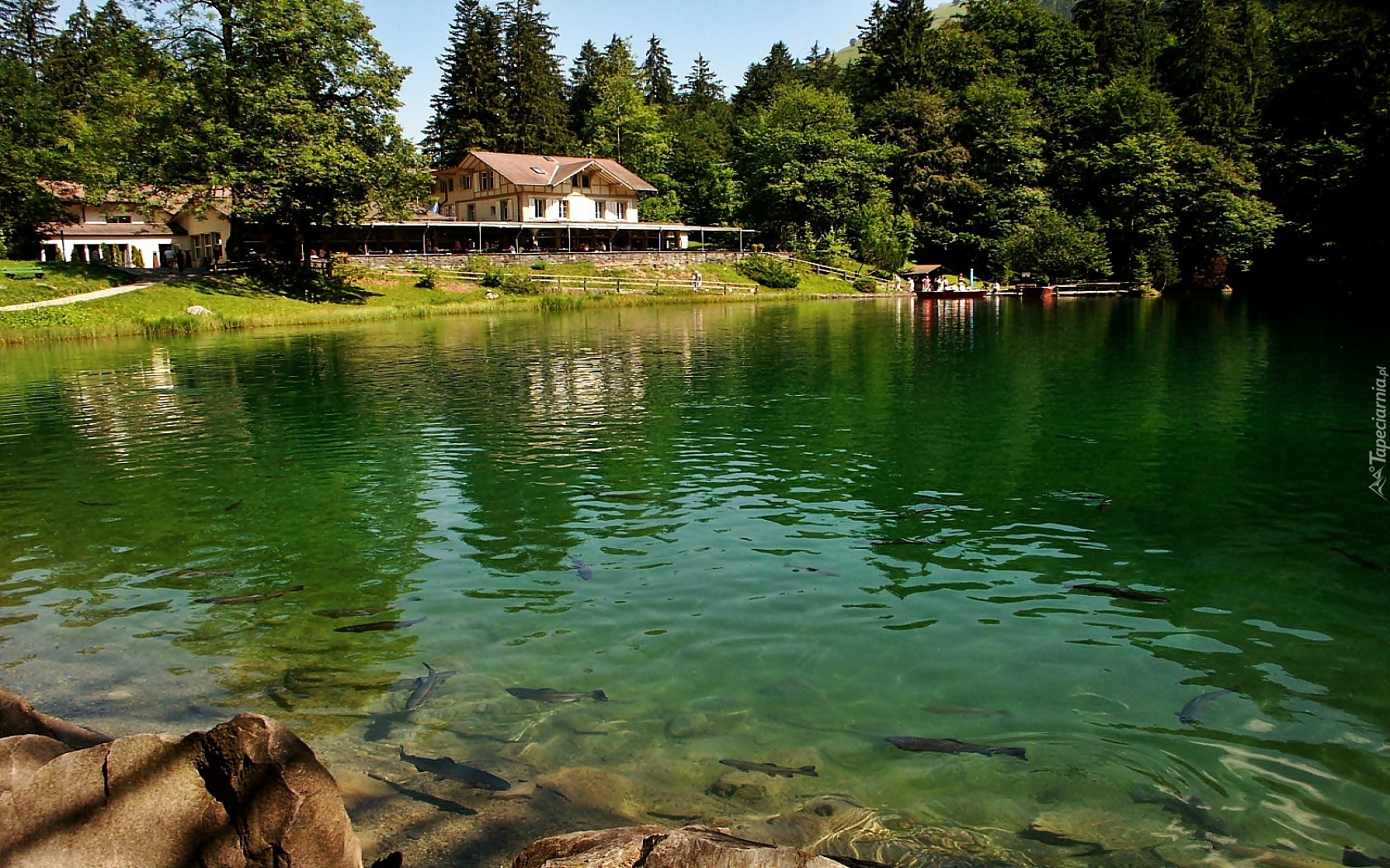 Las, Jezioro, Ośrodek, Wypoczynkowy