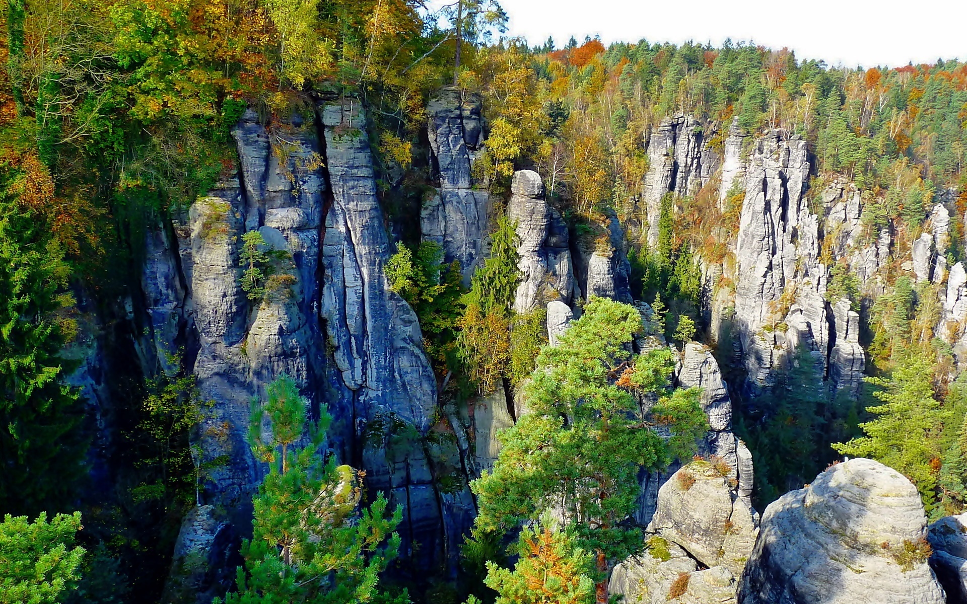 Szwajcaria, Saksońska, Park, Narodowy, Las, Skały