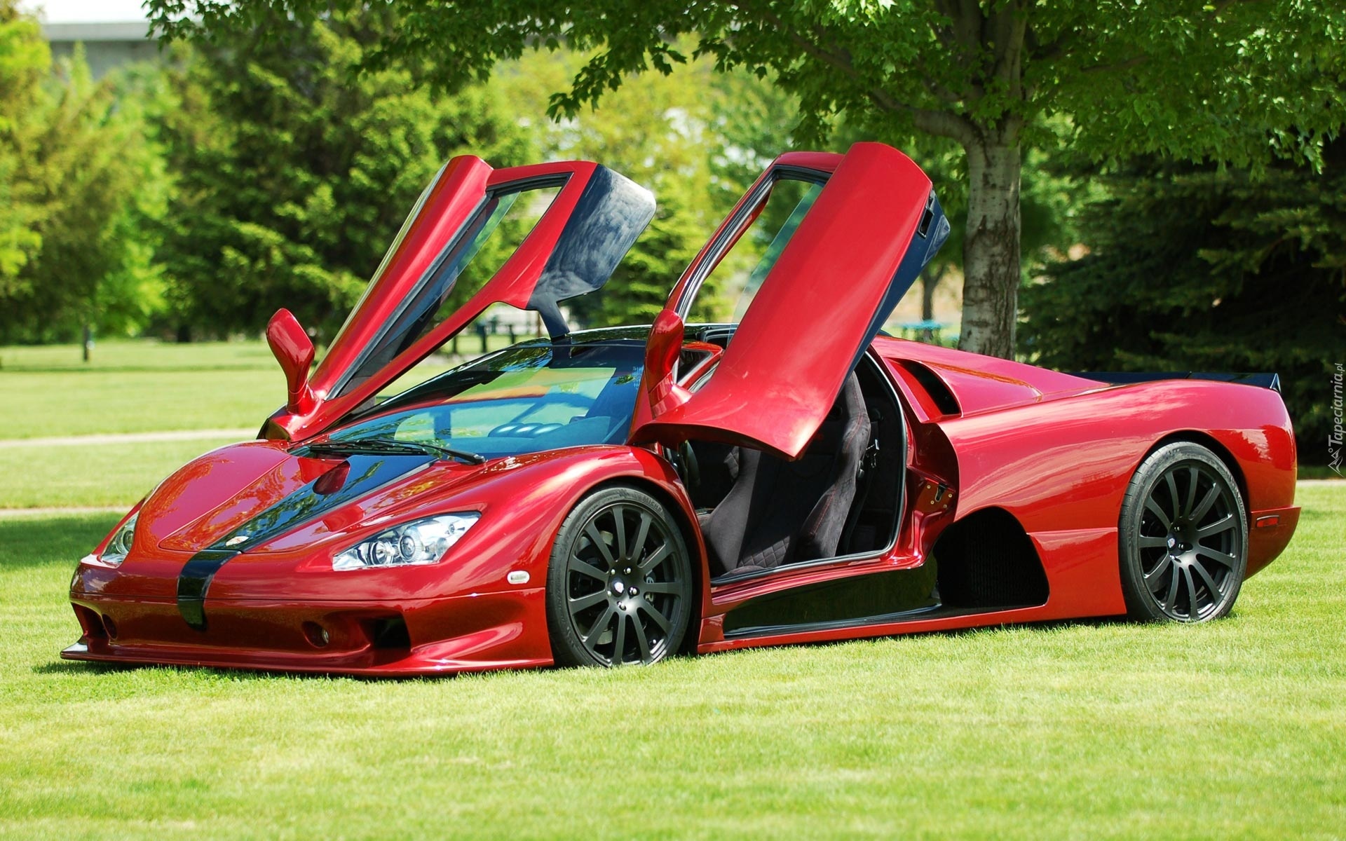 SSC, Ultimate Aero