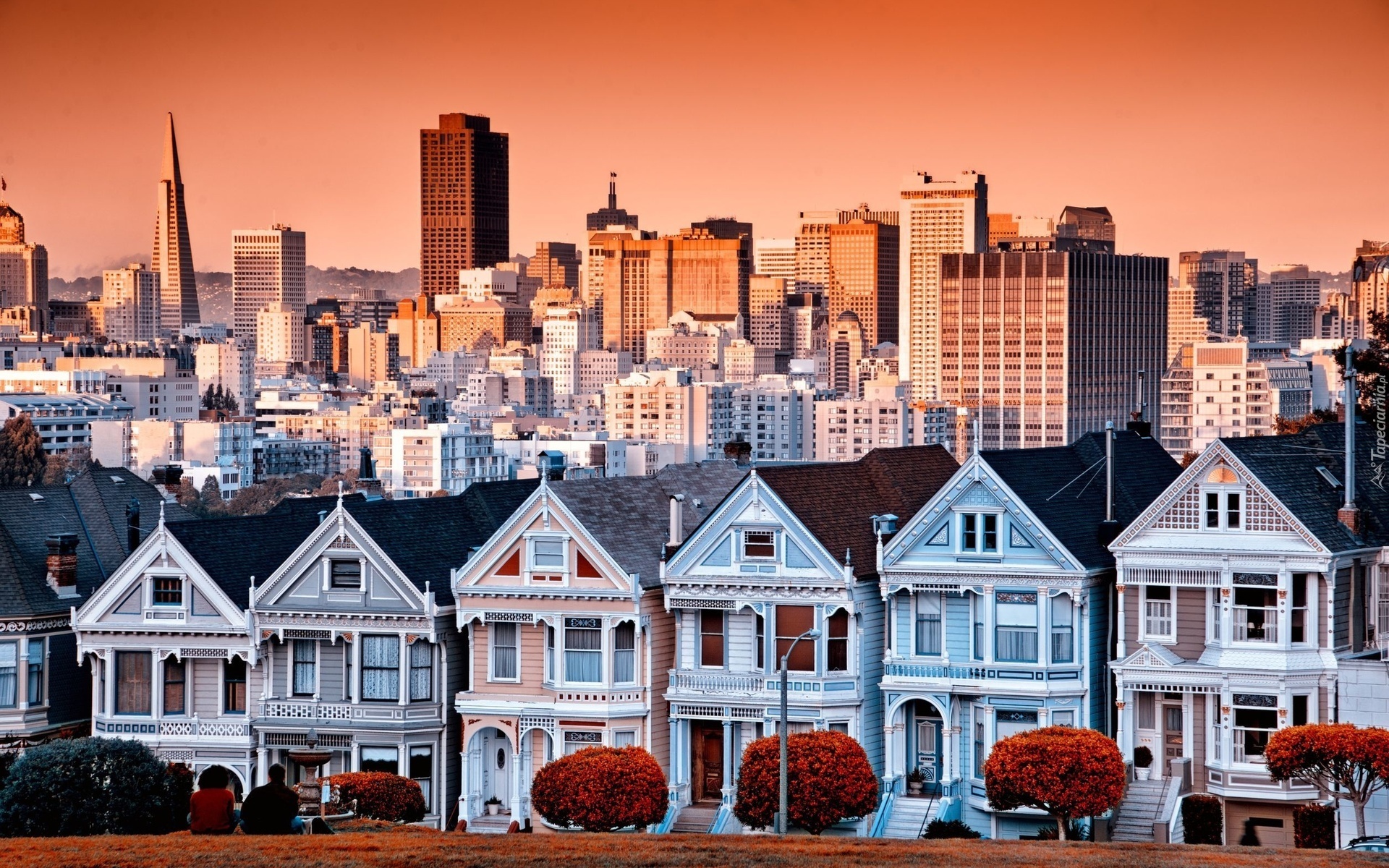 Domy, Wieżowce, Panorama, Miasta, San Francisco, Kalifornia