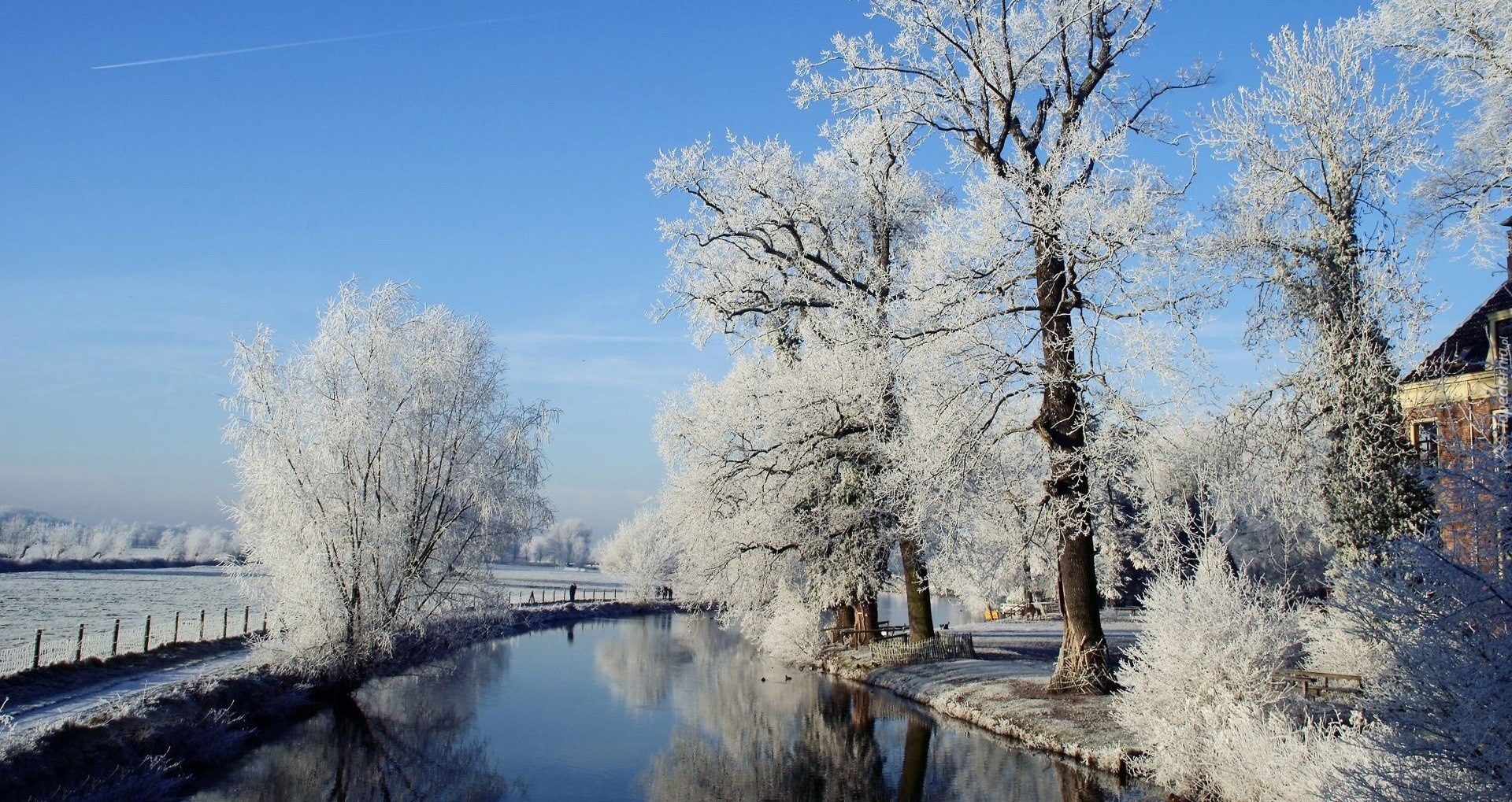 Zima, Rzeka, Oszronione, Drzewa