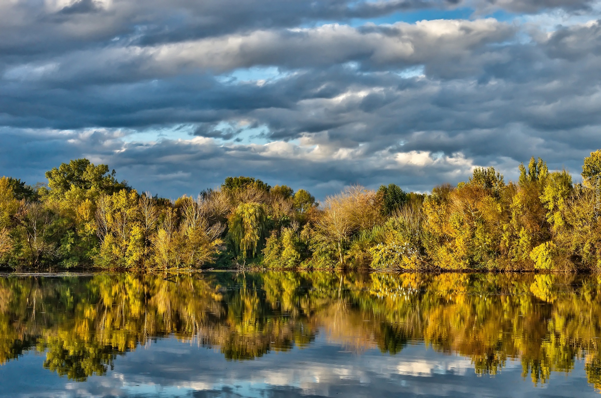 Jezioro, Las, Odbicie