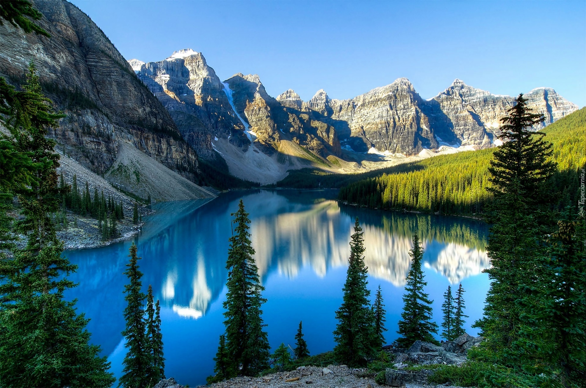 Kanada, Park Narodowy Banff, Góry, Lasy, Jezioro Moraine, Świerki, Odbicie