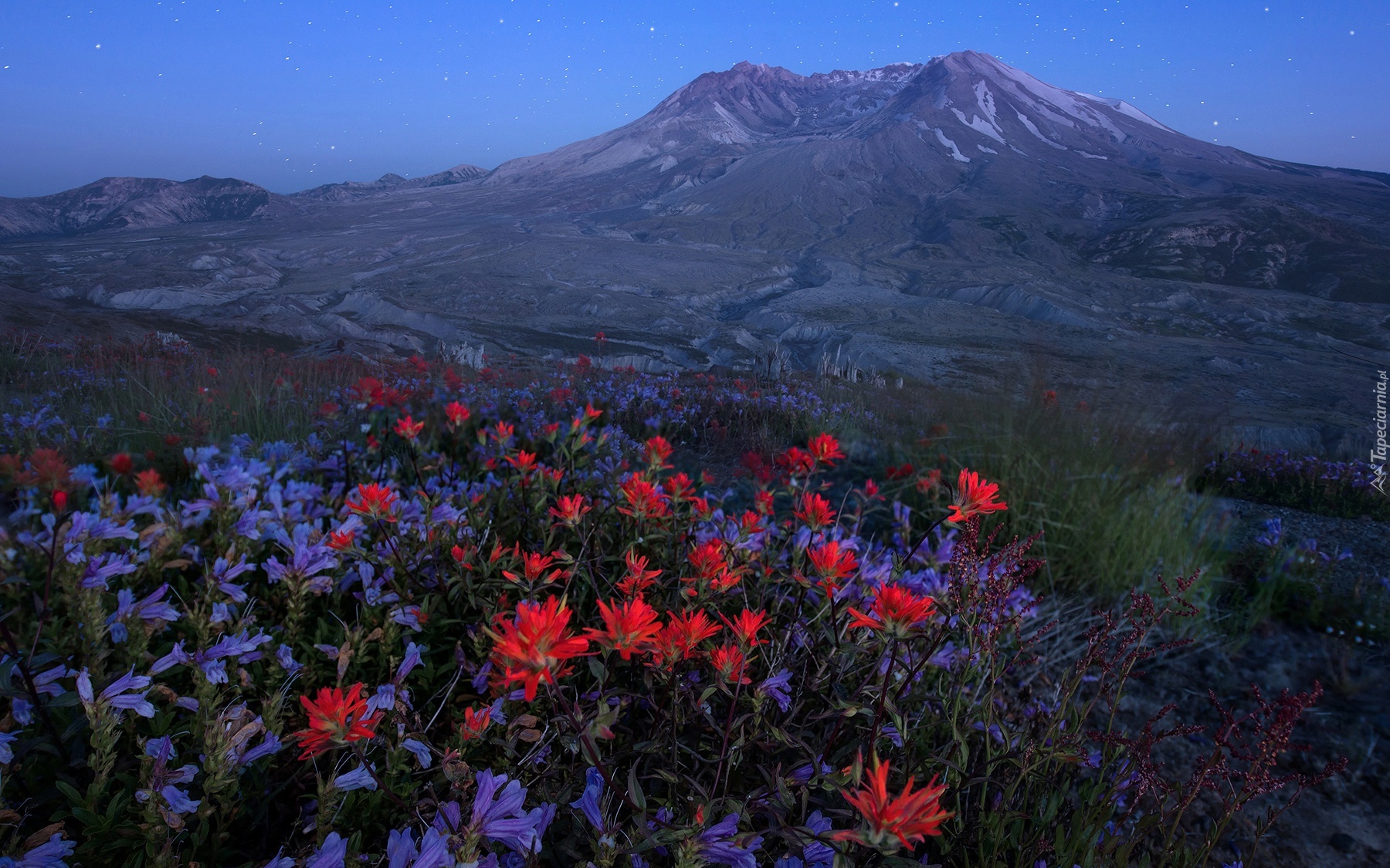 Wulkan, Mount St. Helens, Łąka, Noc, Gwiazdy