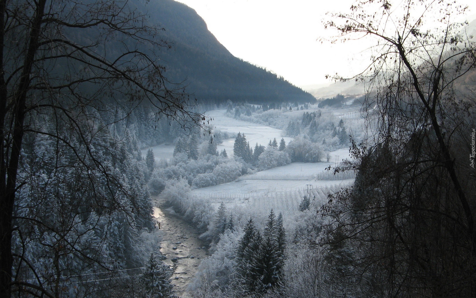 Rzeka, Las, Góry