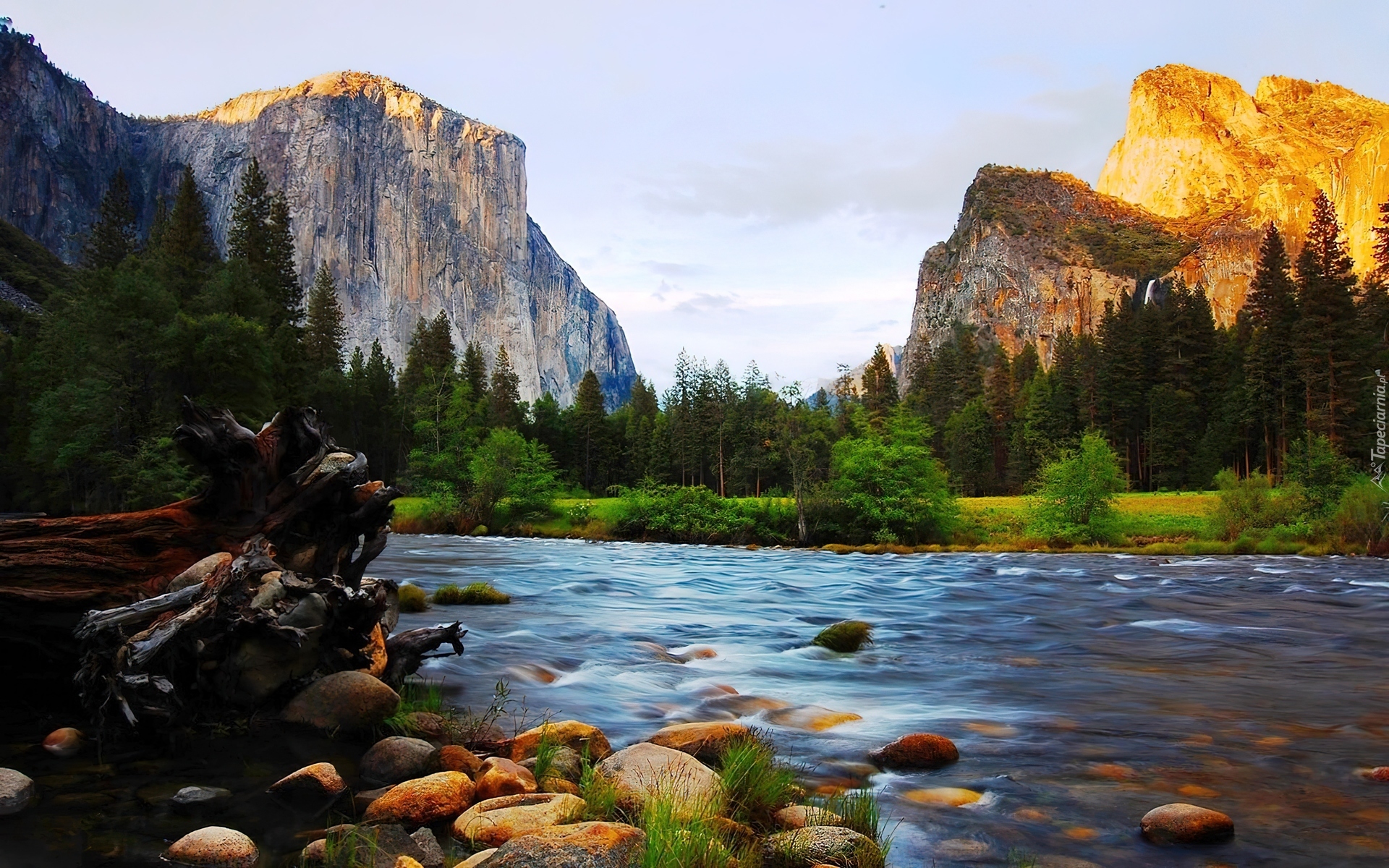 Stany Zjednoczone, Stan Kalifornia, Park Narodowy Yosemite, Góry, Las, Rzeka, Kamienie, Szczyt El Capitan