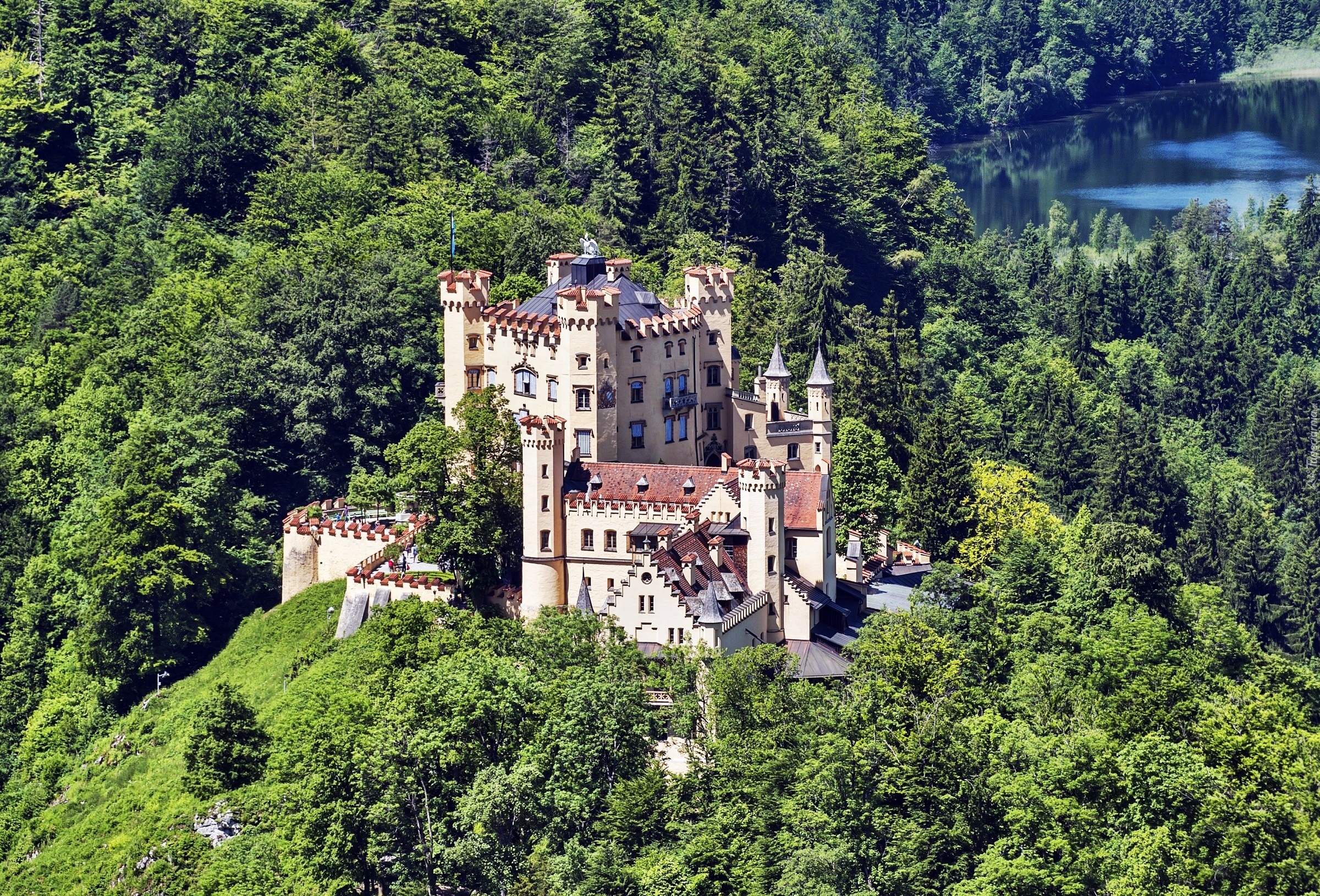 Zamek Hohenschwangau, Niemcy, Las, Jezioro