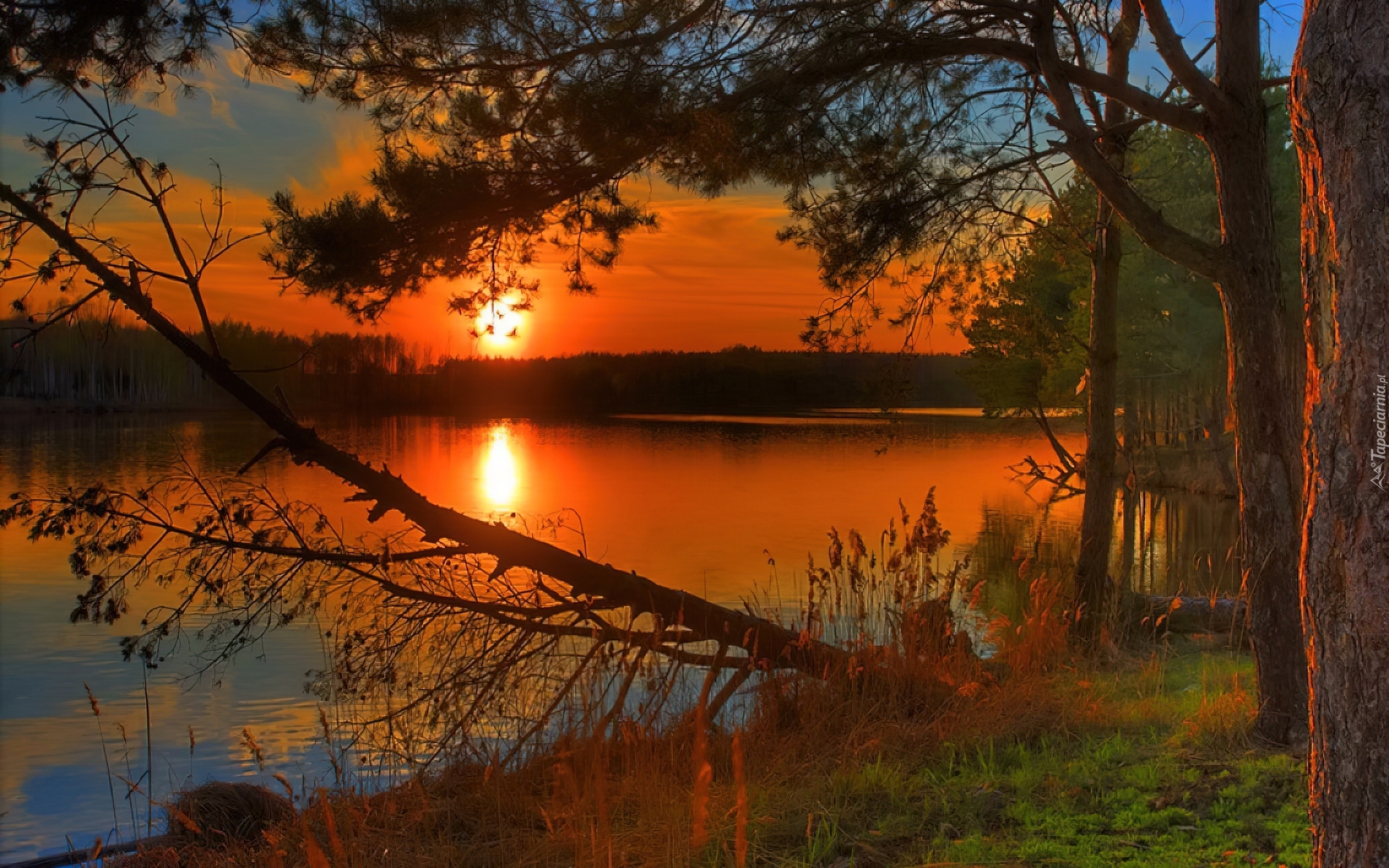 Тихий вечер закат. Осенний закат. Природа вечер. Закат на реке. Рассвет на Лесном озере.
