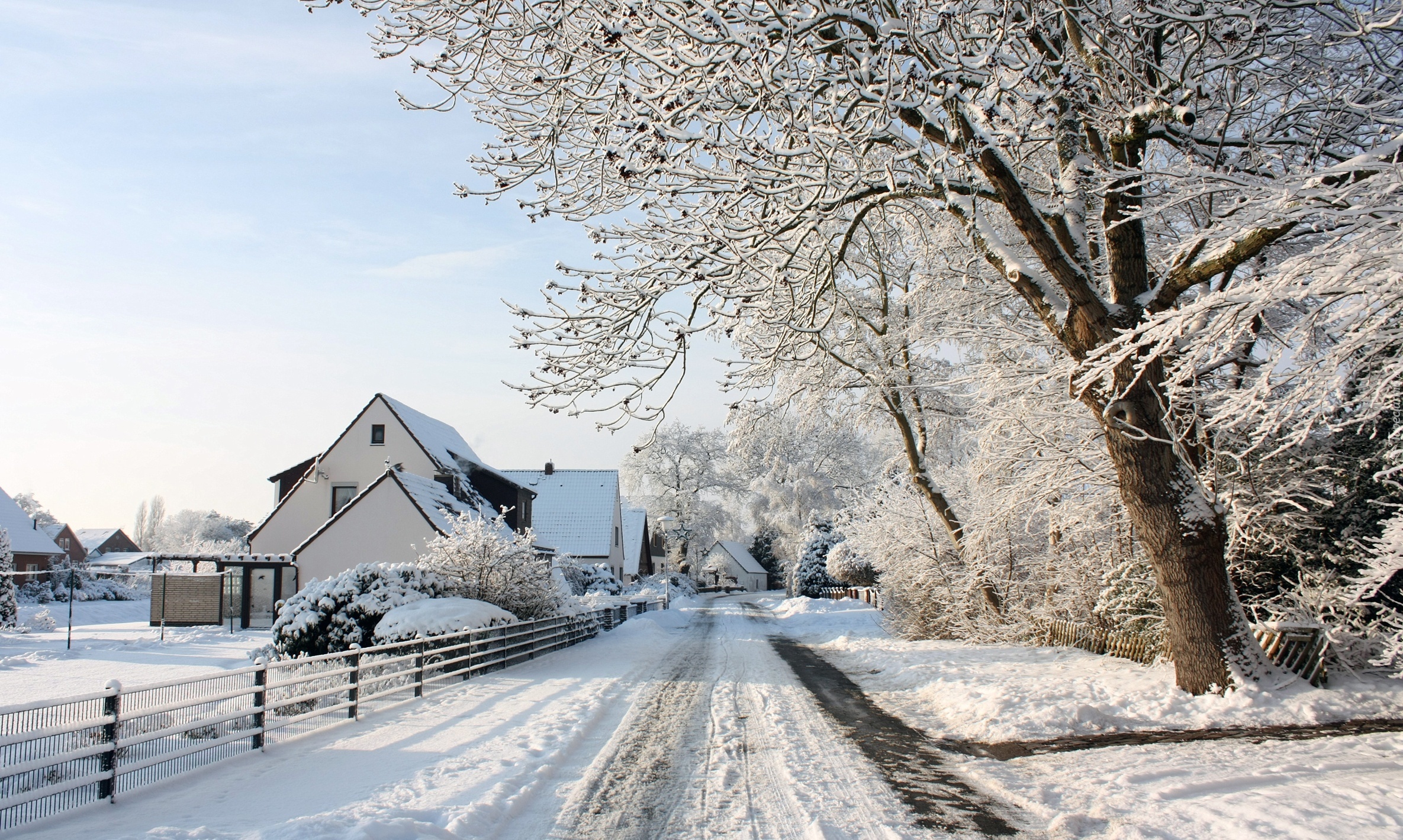 Droga, Śnieg, Domy, Drzewa