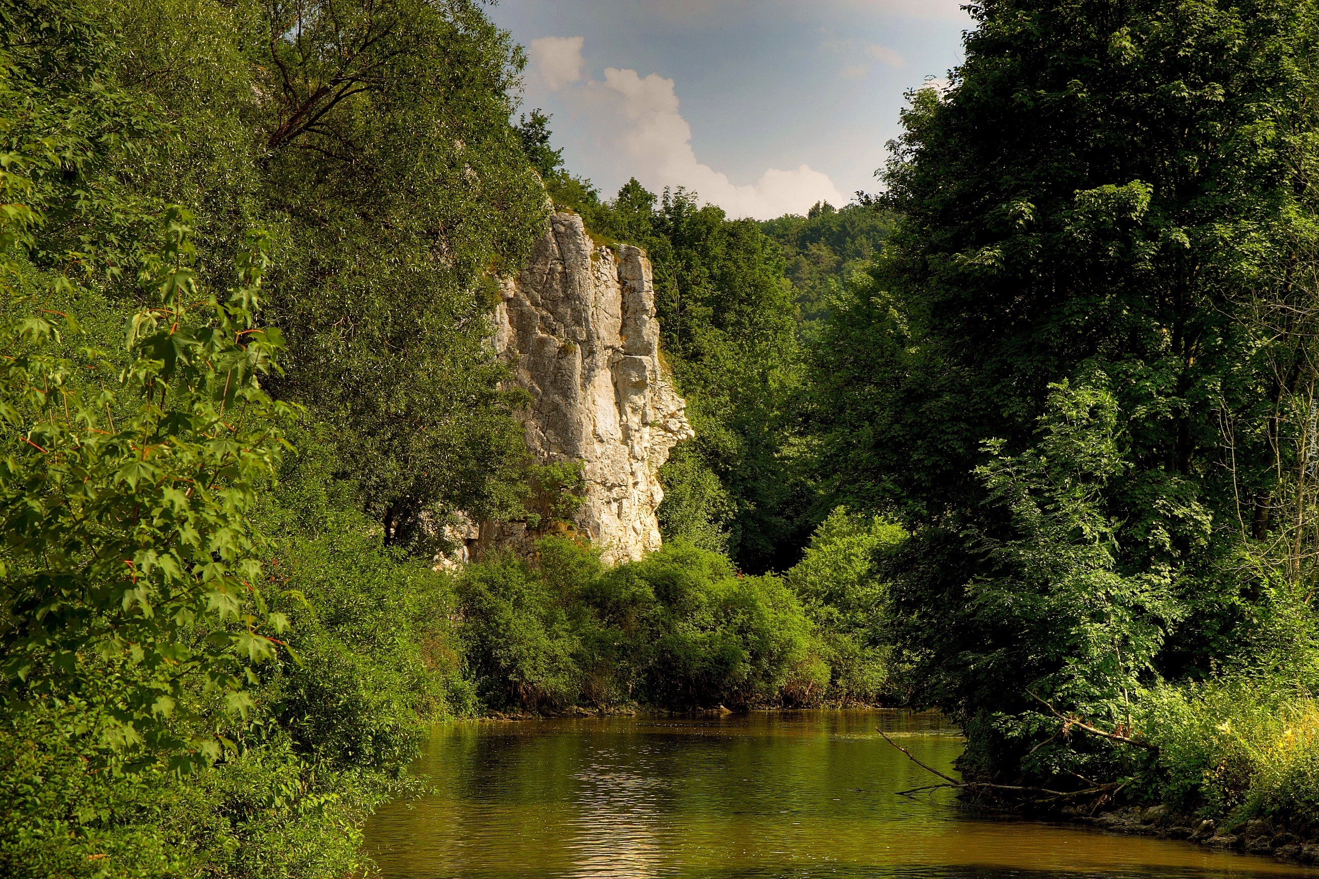 Niemcy, Bawaria, Góry, Las, Rzeka, Lato