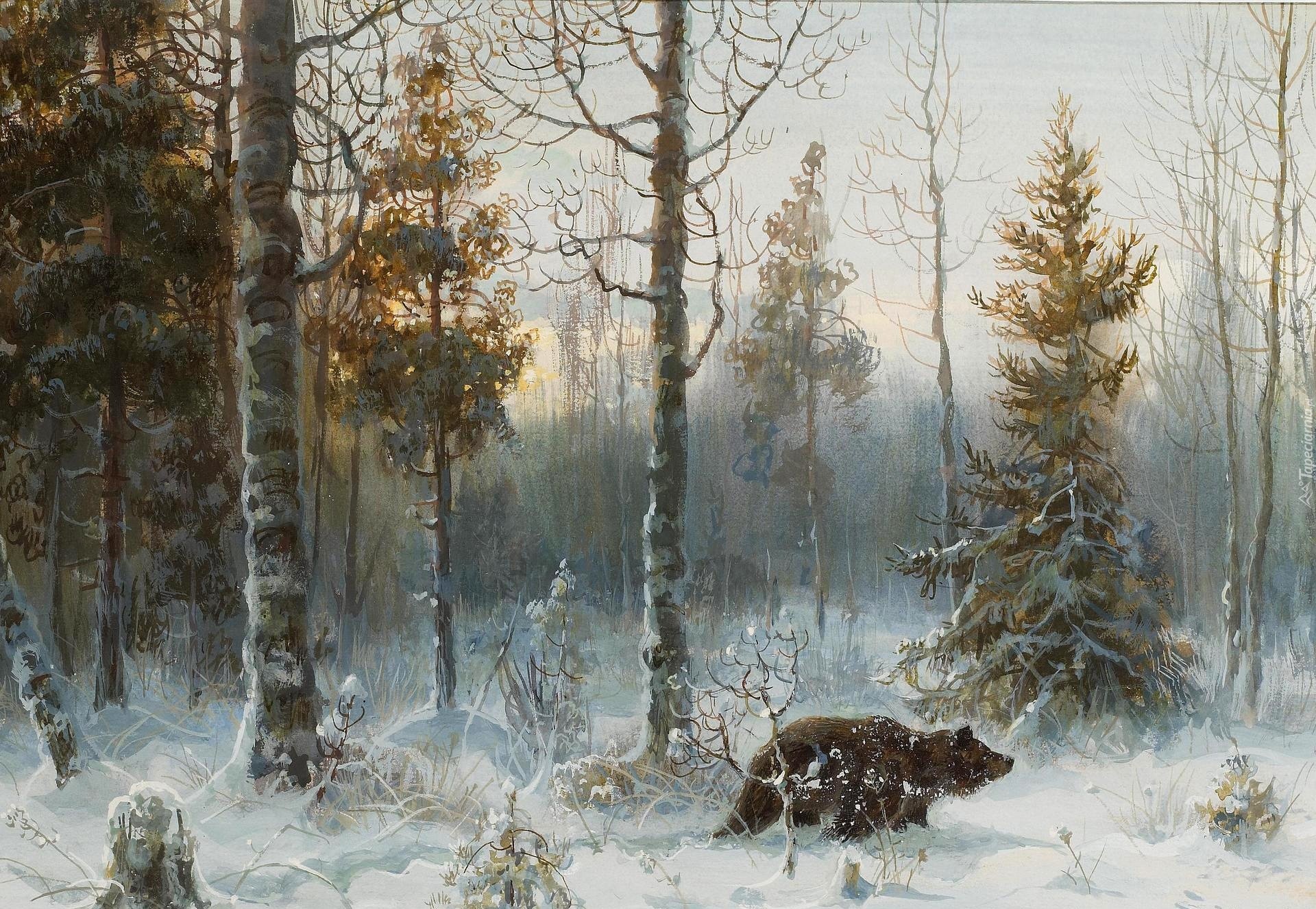 Zima, Las, Niedźwiedź, Reprodukcja obrazu