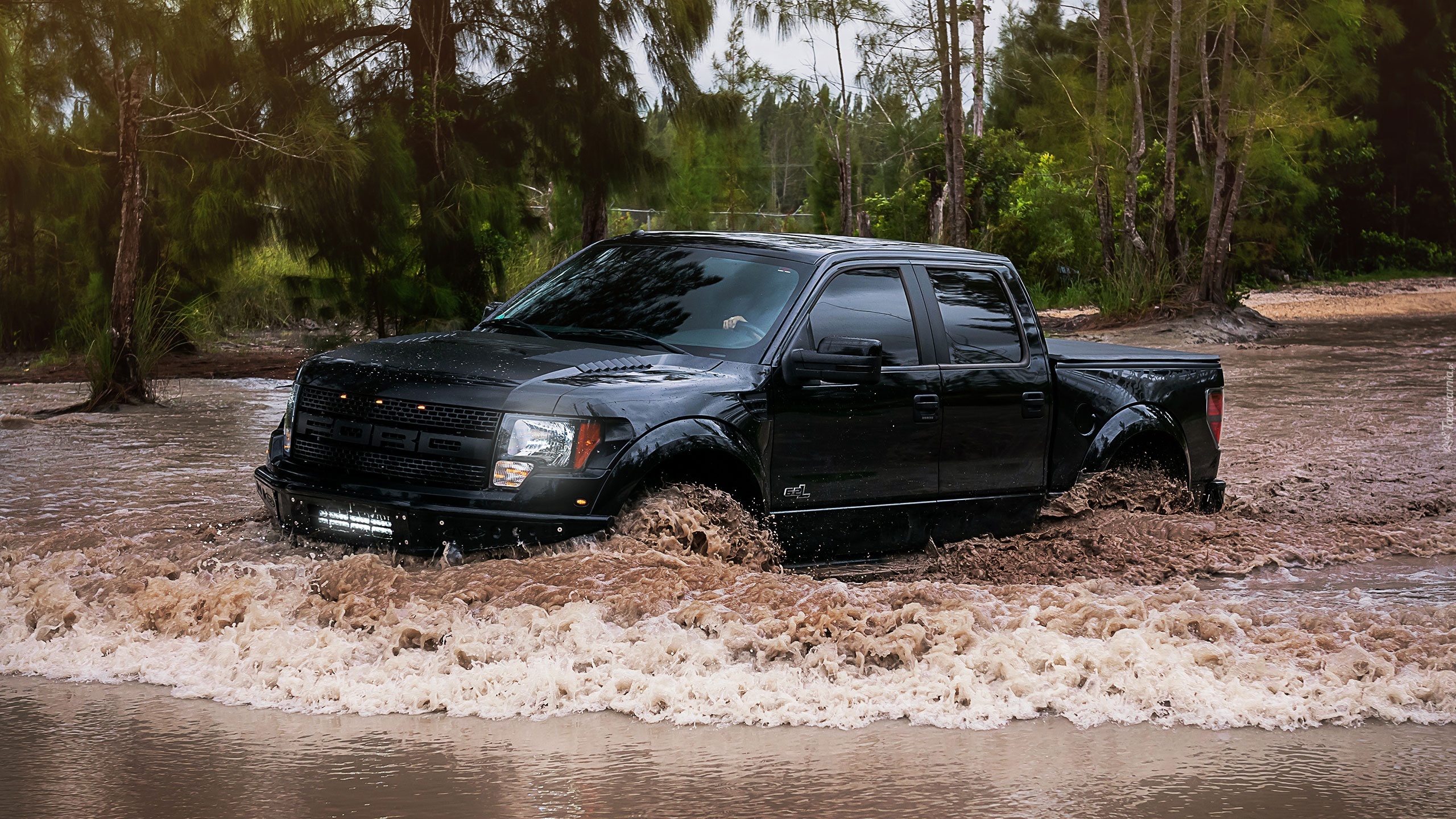 Ford, Raptor, Rzeka, Drzewa