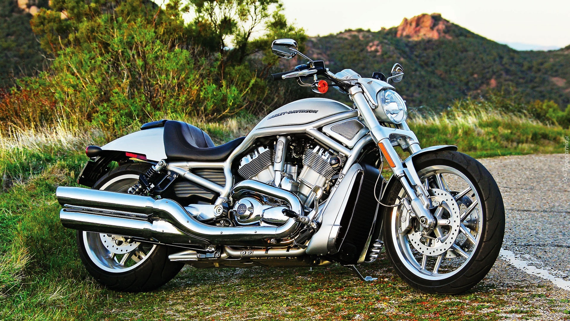 Harley-Davidson, V-Rod