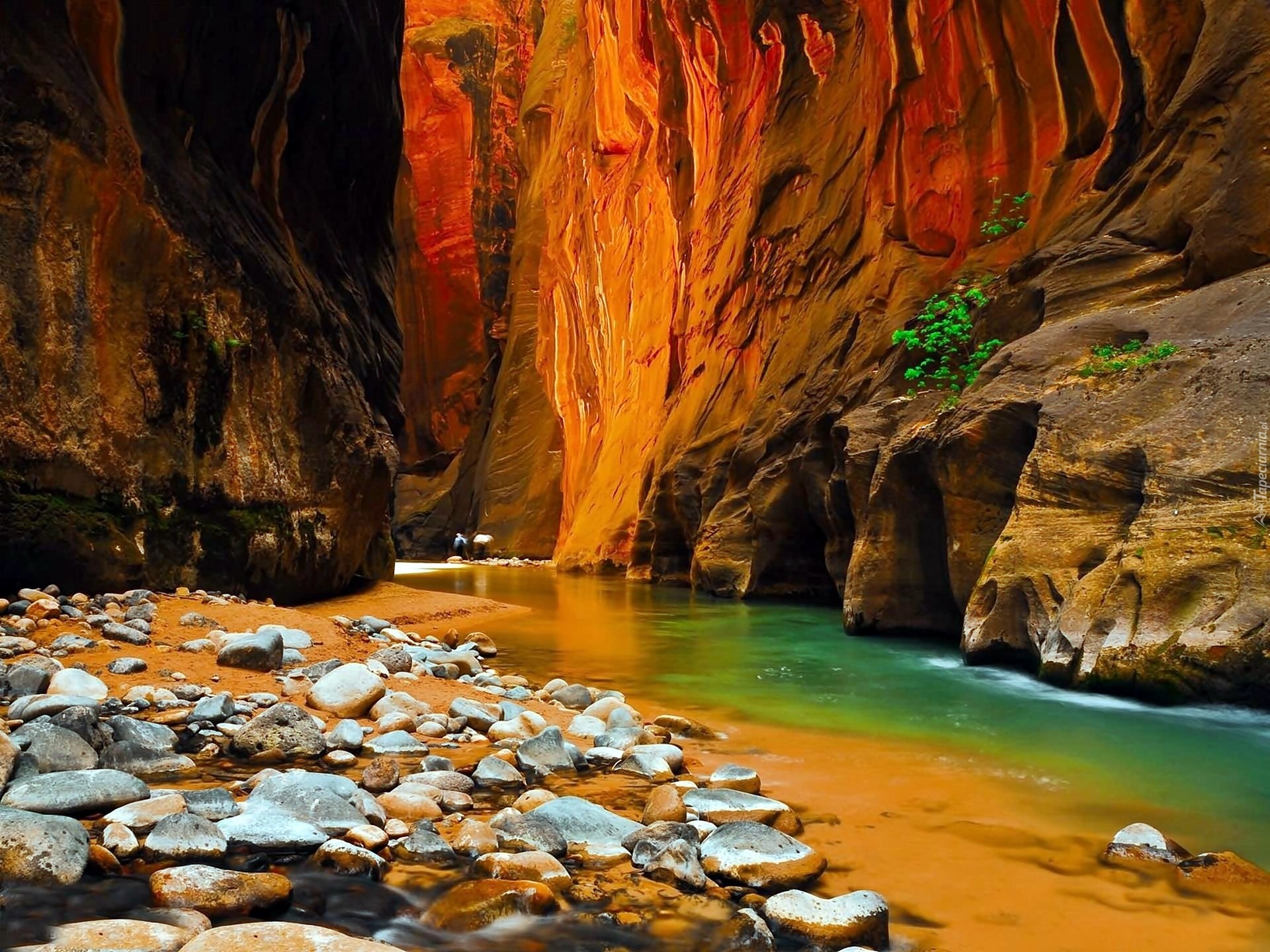 Zion Canyon National Park