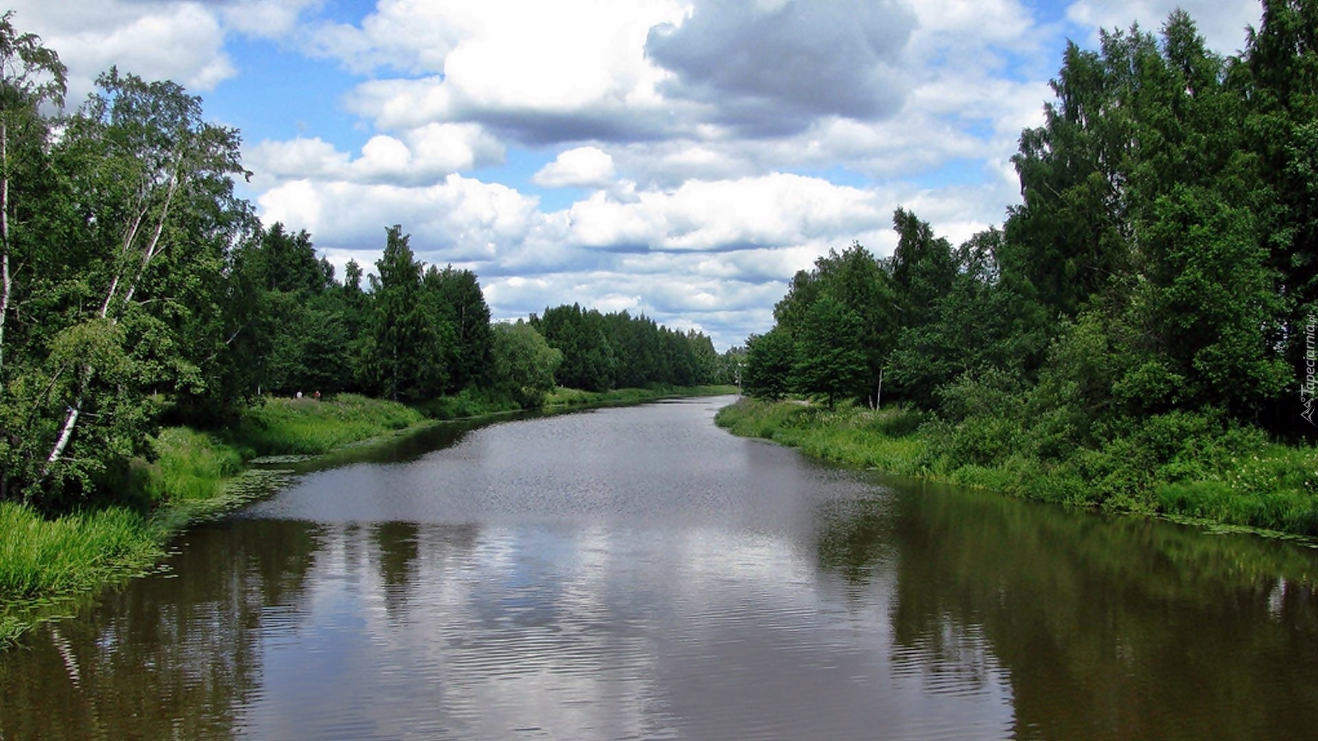 Rzeka, Vantaa, Las, Obłoki