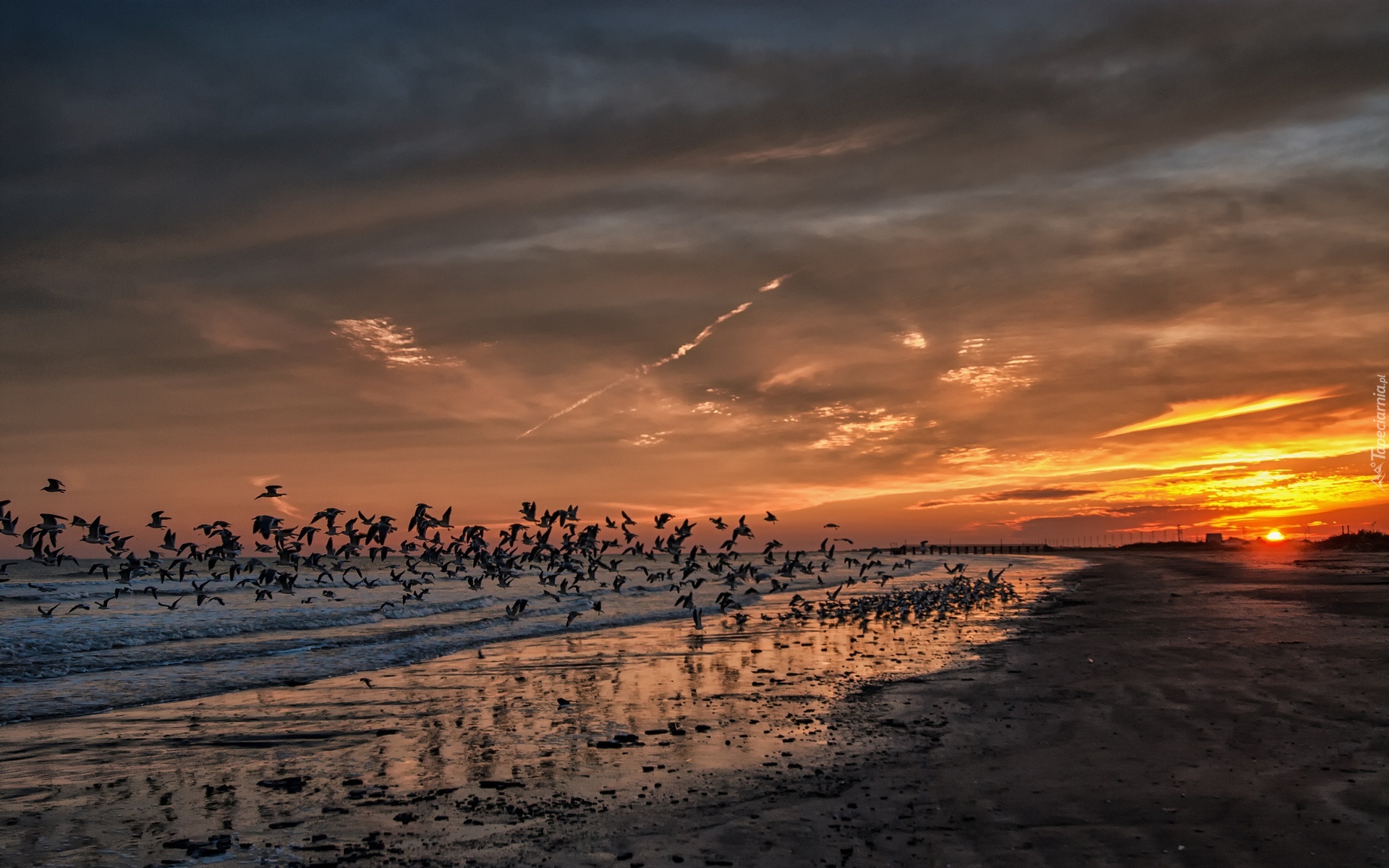 Wybrzeże, Plaża, Ptaki, Molo, Zachód, Słońca