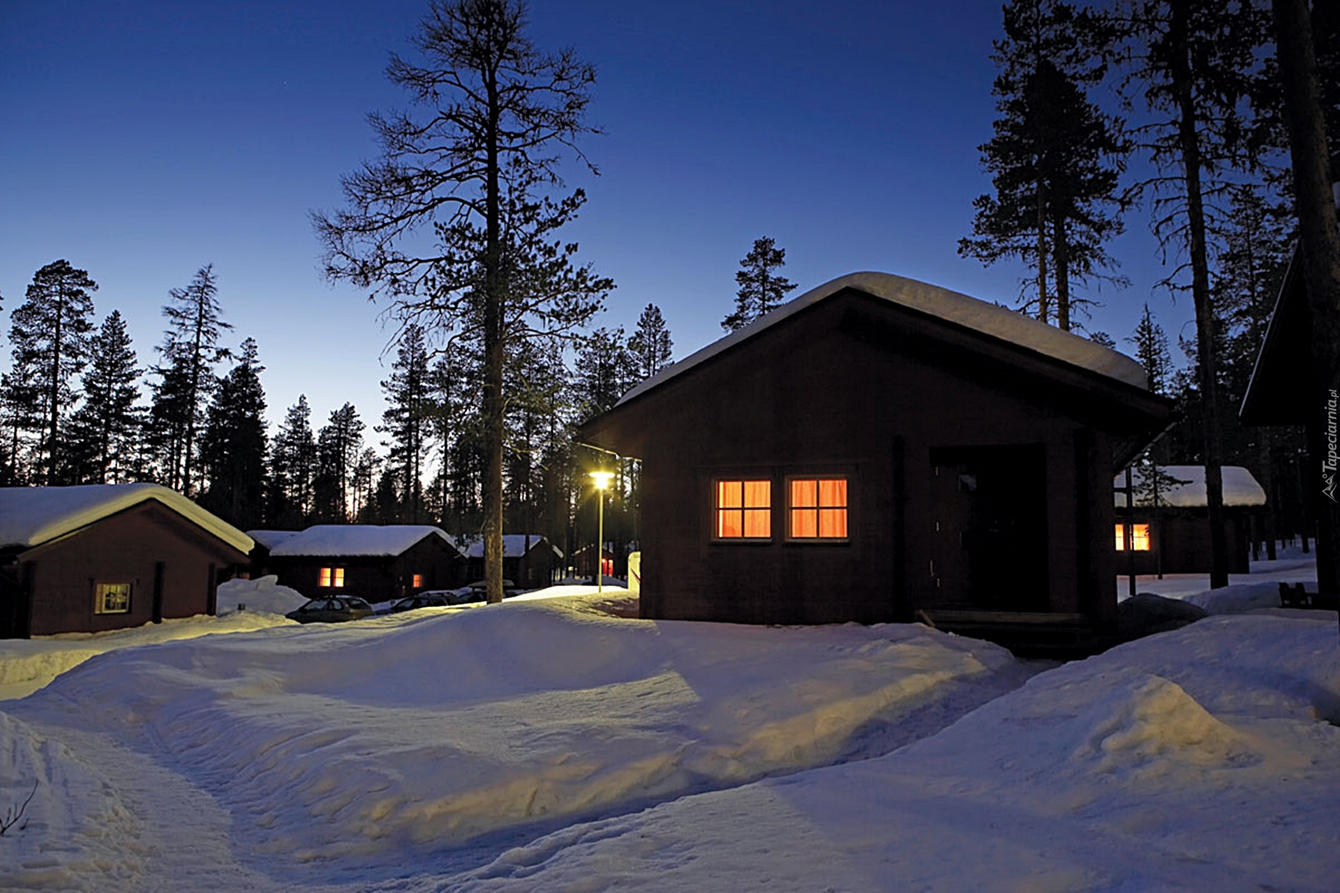 Zima, Domy, Drzewa, Przebijające, Światło, Finlandia