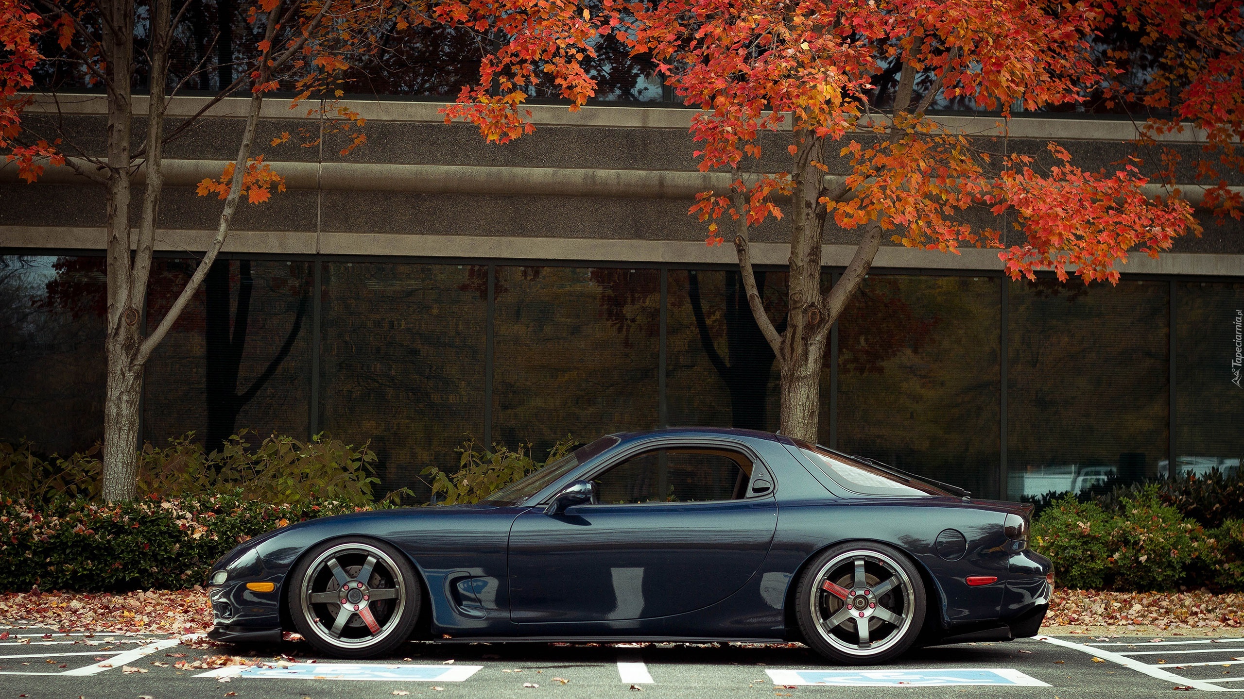 Mazda, RX-7, Parking, Drzewa