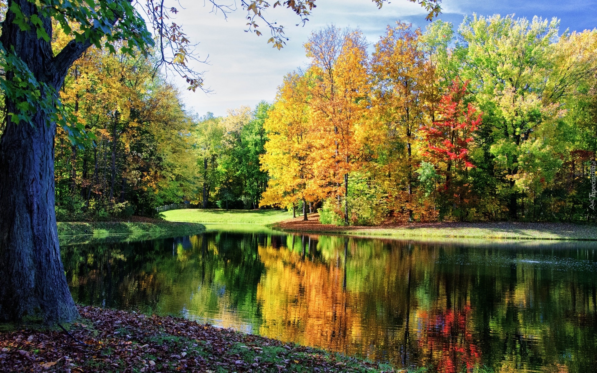 Park, Rzeka, Kolorowe, Drzewa, Jesień