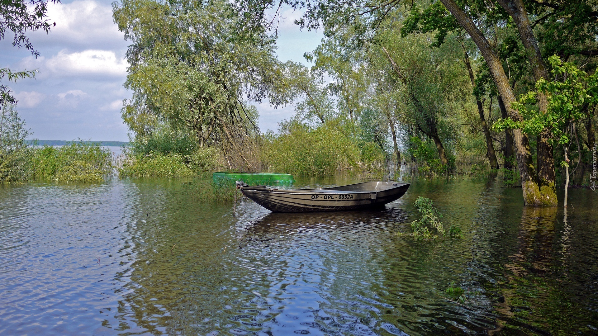 Łódka, Jezioro, Drzewa