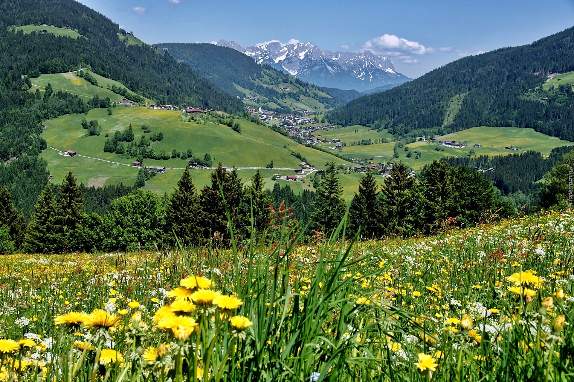 Tyrol, Dolina, Wildschoenau, Lasy, Łąka, Wioska