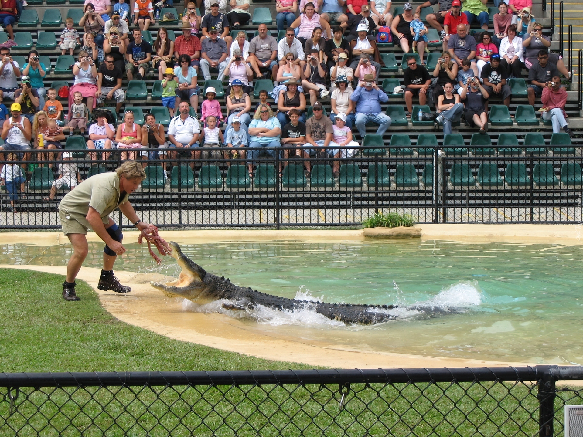 Steve, Irwin, Łowca, Krokodyli, Pokazy, Ludzie, ZOO, Australia