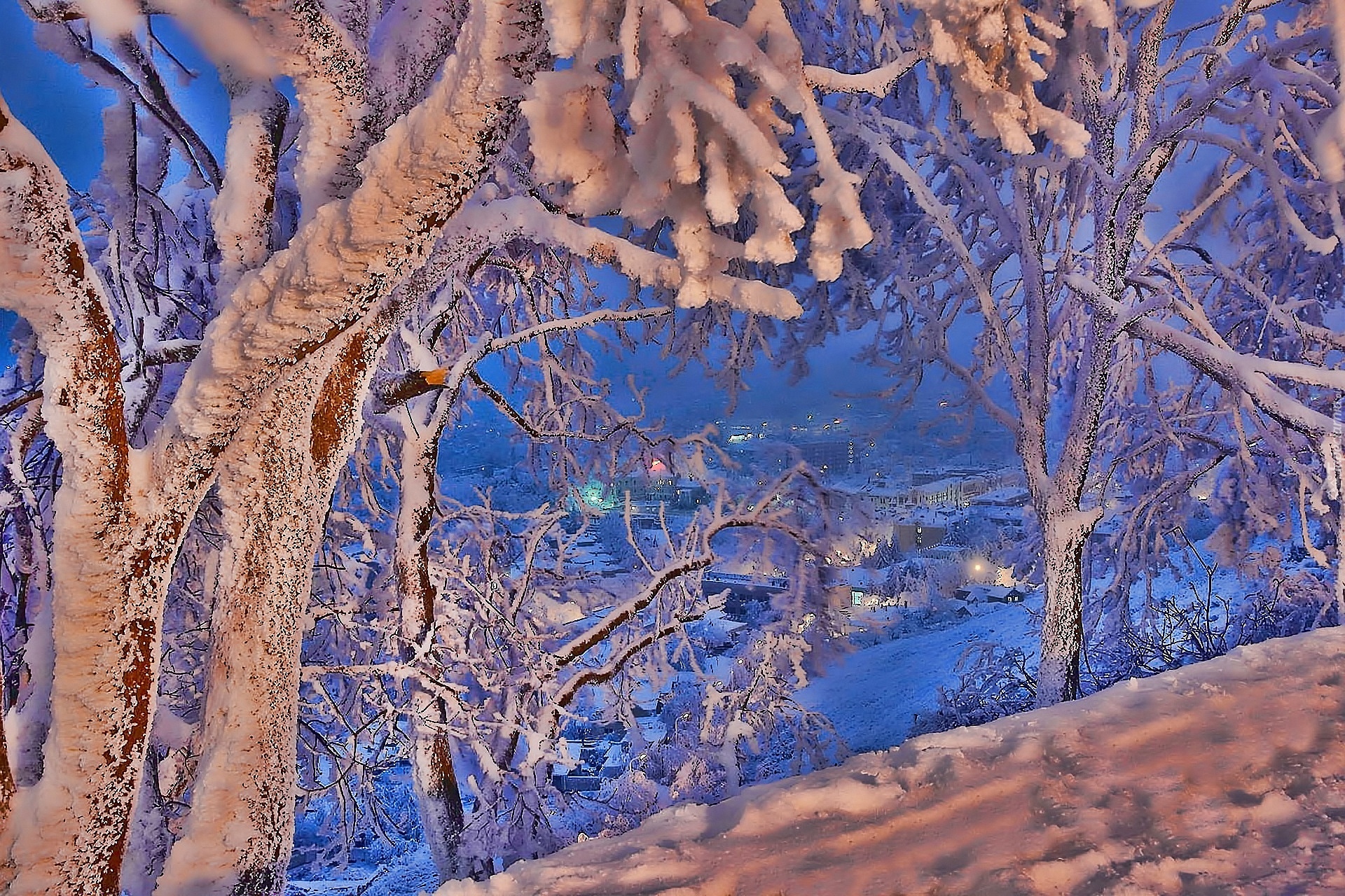 Zima, Śnieg, Miasteczko, Drzewa