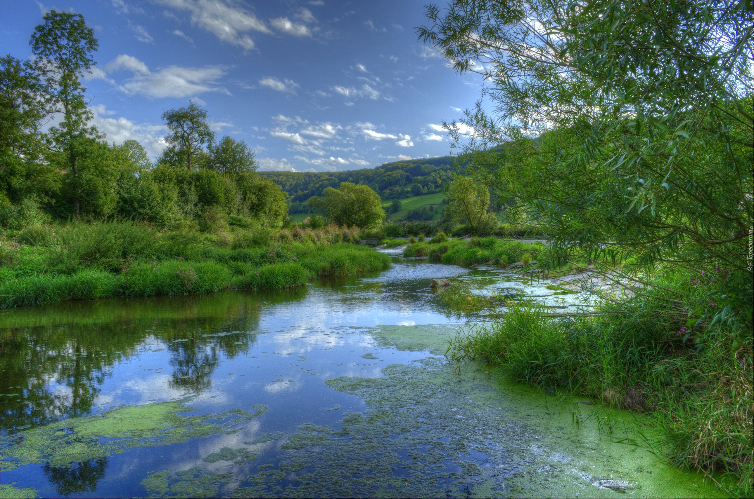 Rzeka, Trawy, Drzwa