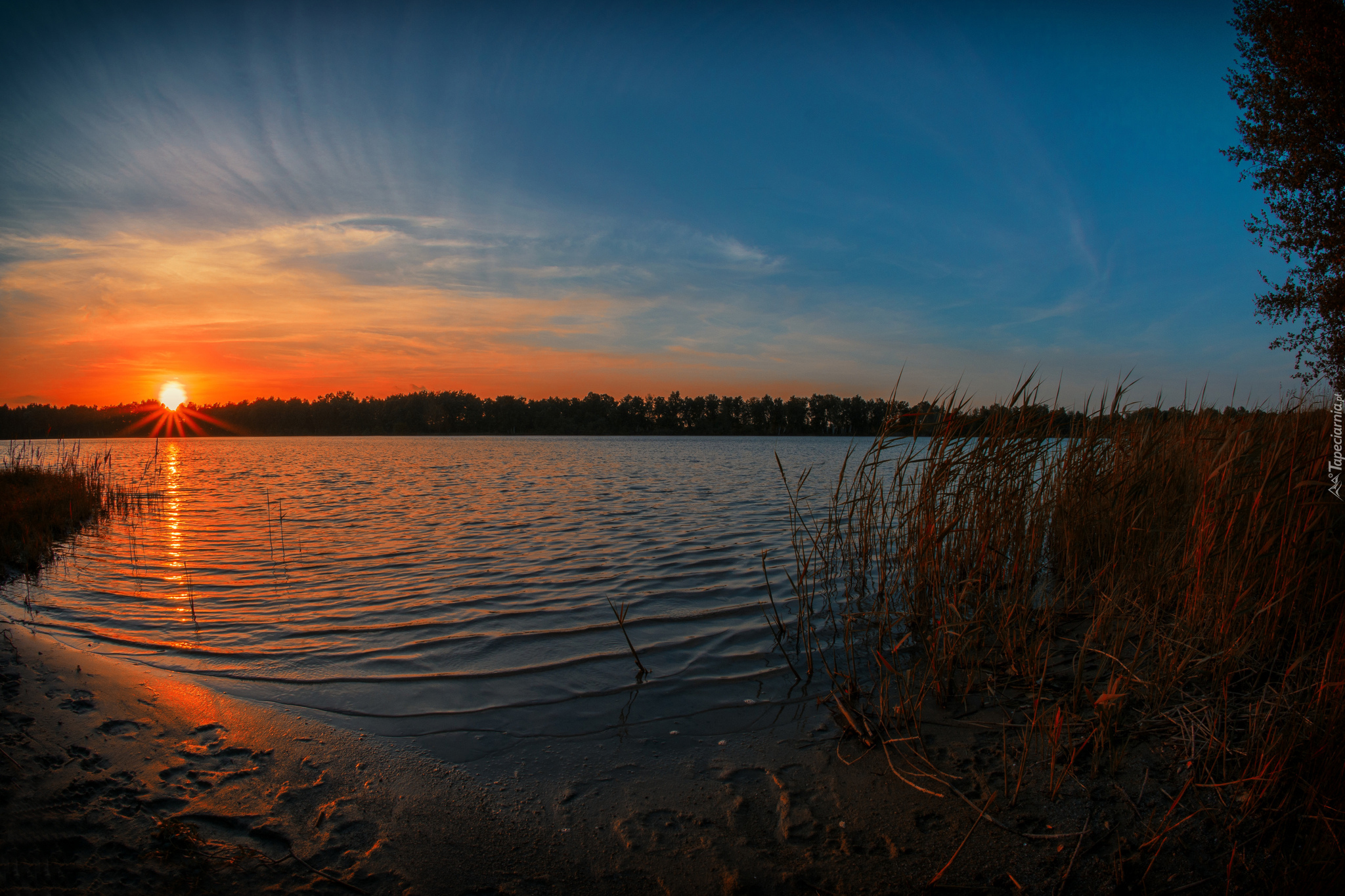 Jezioro, Zachód, Słońca, Trzciny