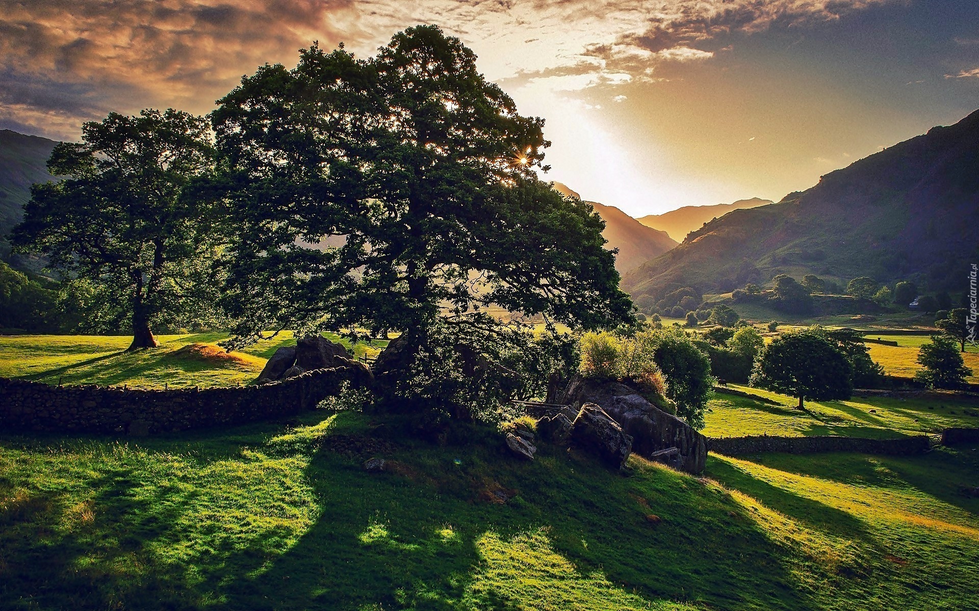 Cumbria, Lake, District, Wzgórza, Drzewa, Chmury, Przebijające, Światło
