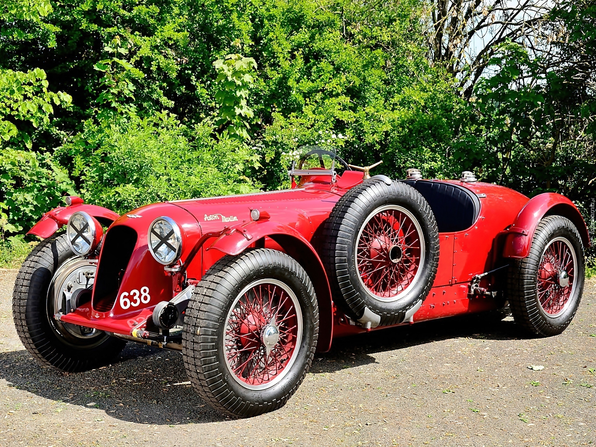 Retro, Aston, Martin, 1939, Roślinność