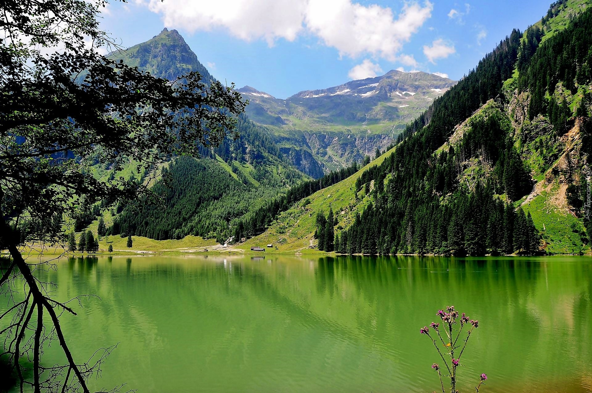 Góry, Lasy, Jezioro, Schwrzensee