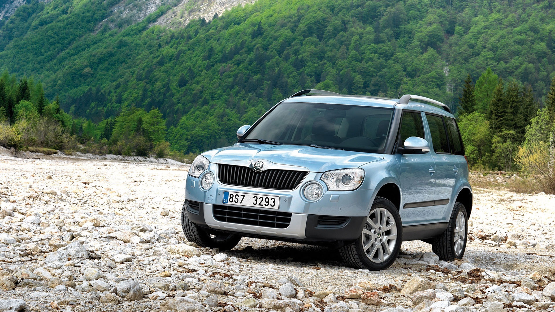 Skoda, Yeti, Las, Kamienie