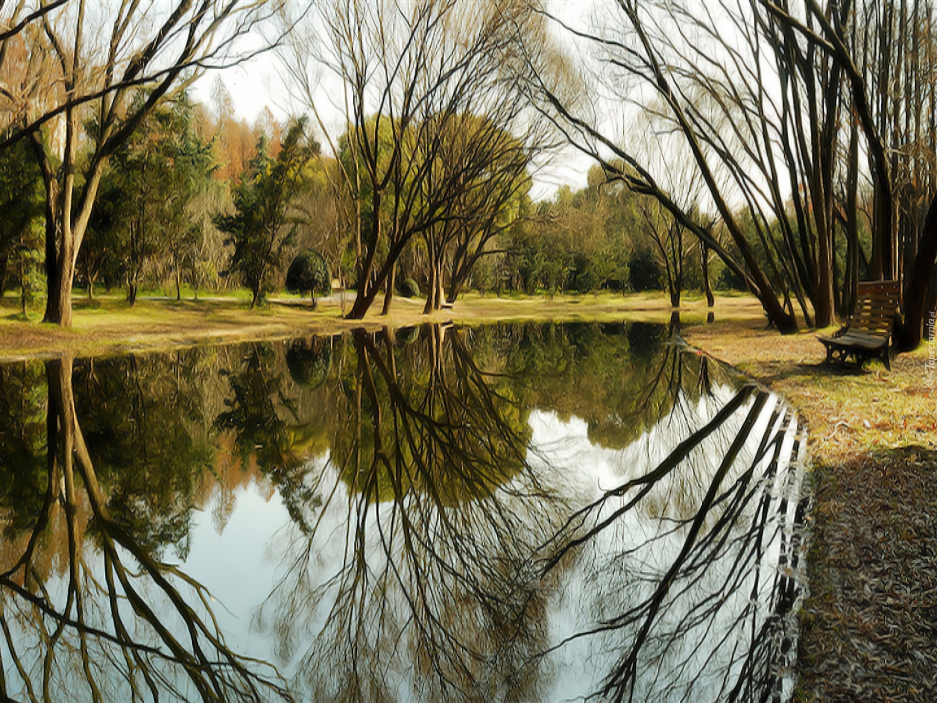 Rzeka, Park, Ławka, Drzewa, Odbicie