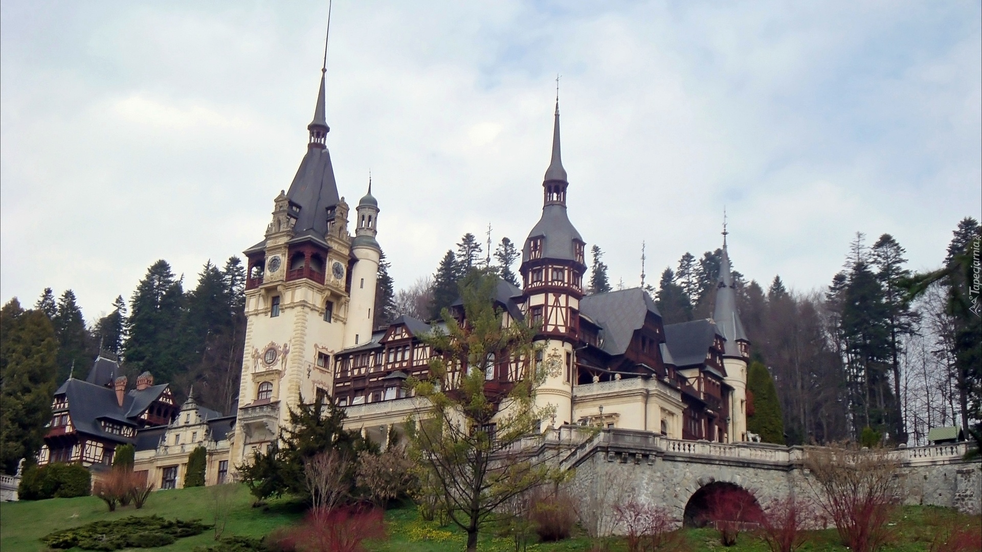 Sinaia, Pałac Peles, Drzewa