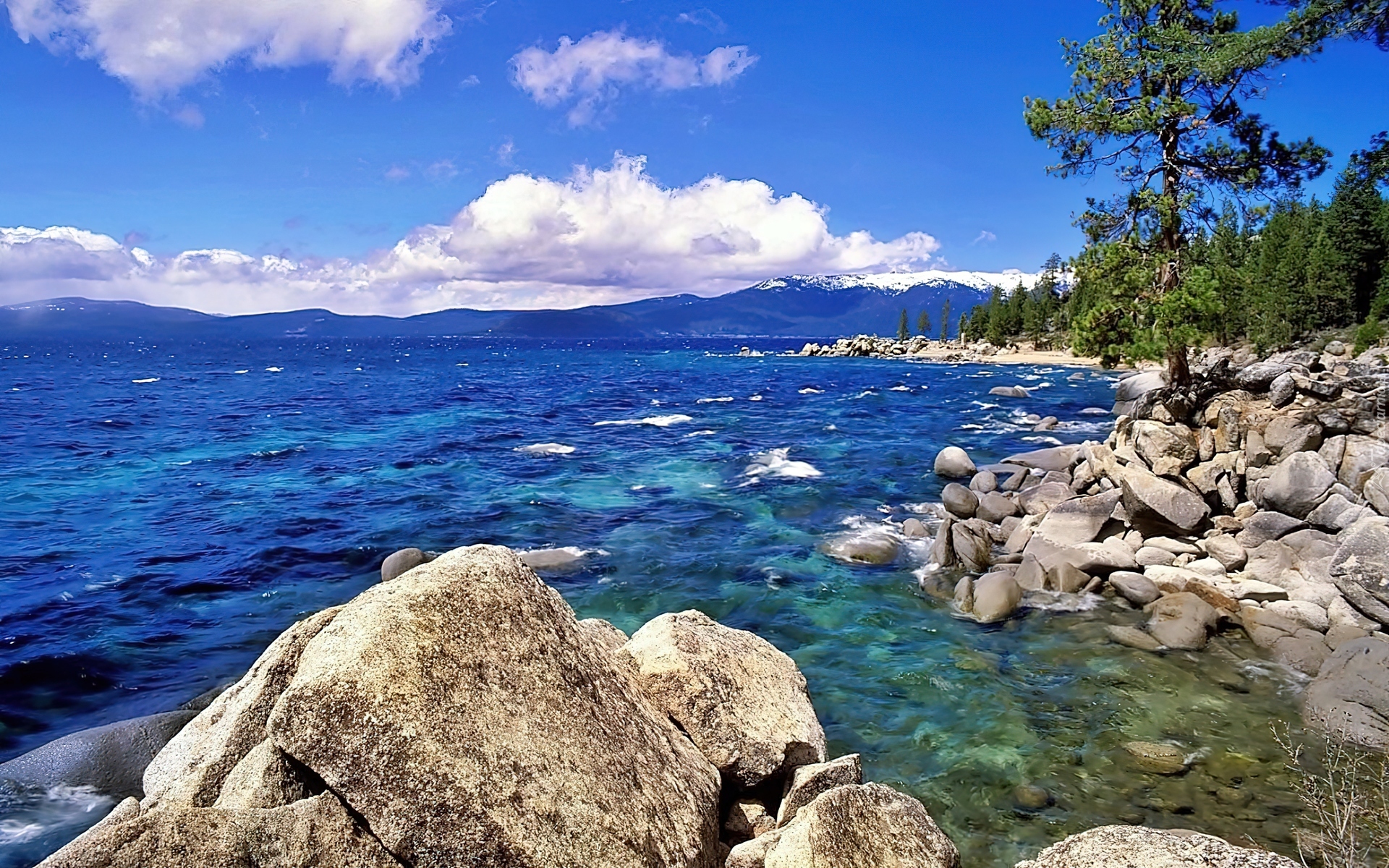 Nevada, Jezioro, Tahoe, Głazy, Las