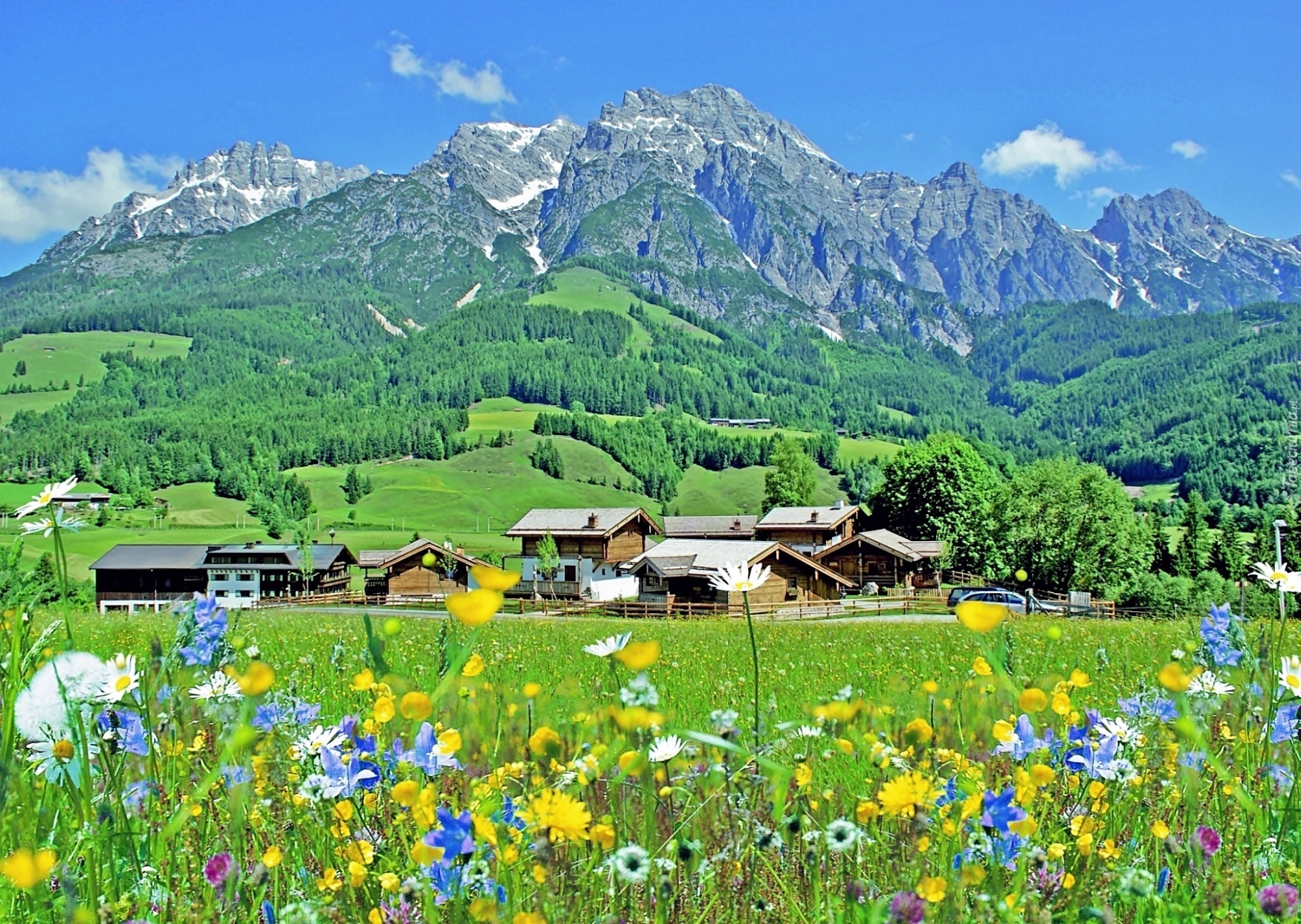 Góry, Lasy, Łąka, Wioska, Steinalmdorf