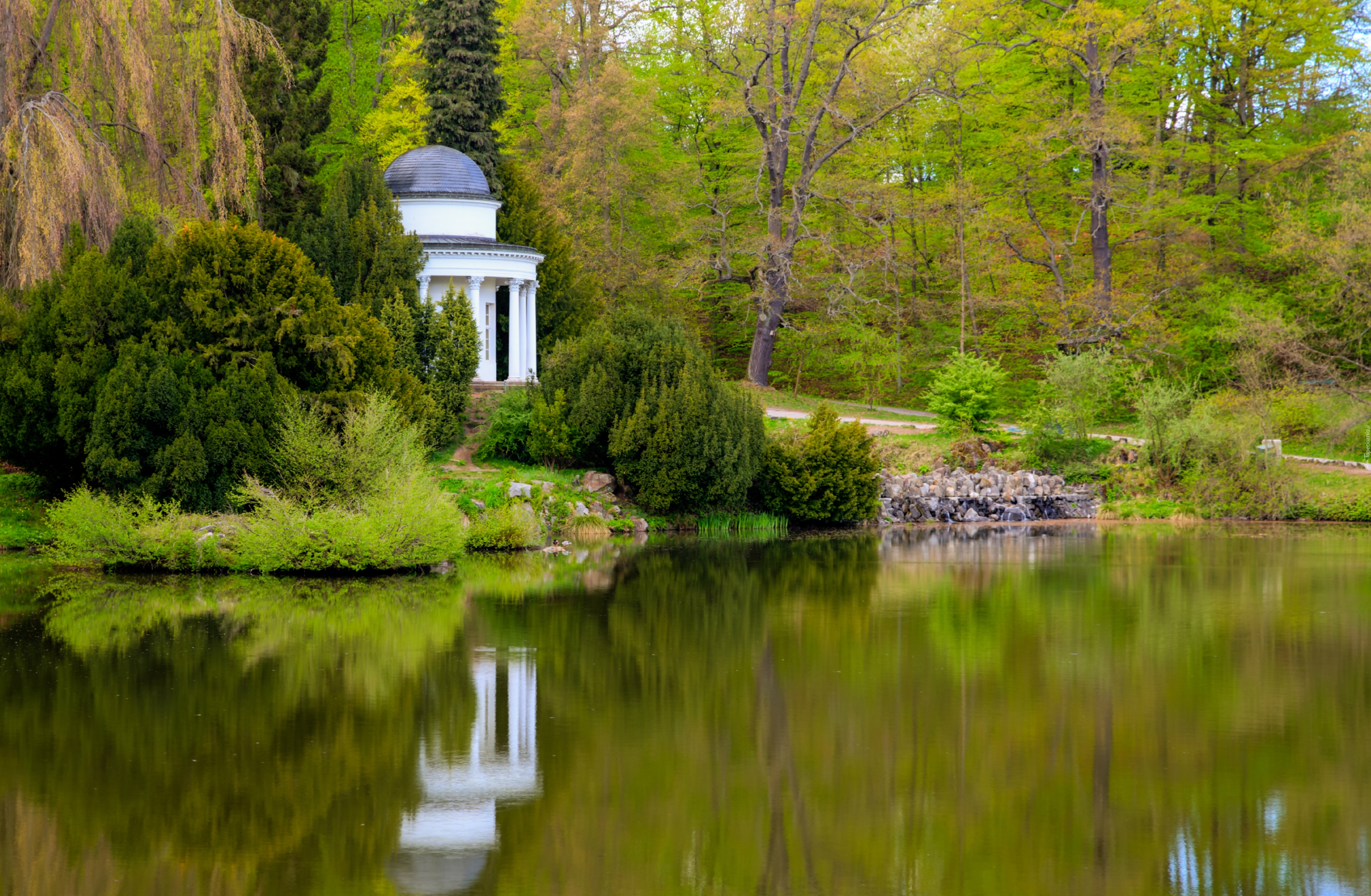 Park, Altana, Staw, Krzewy