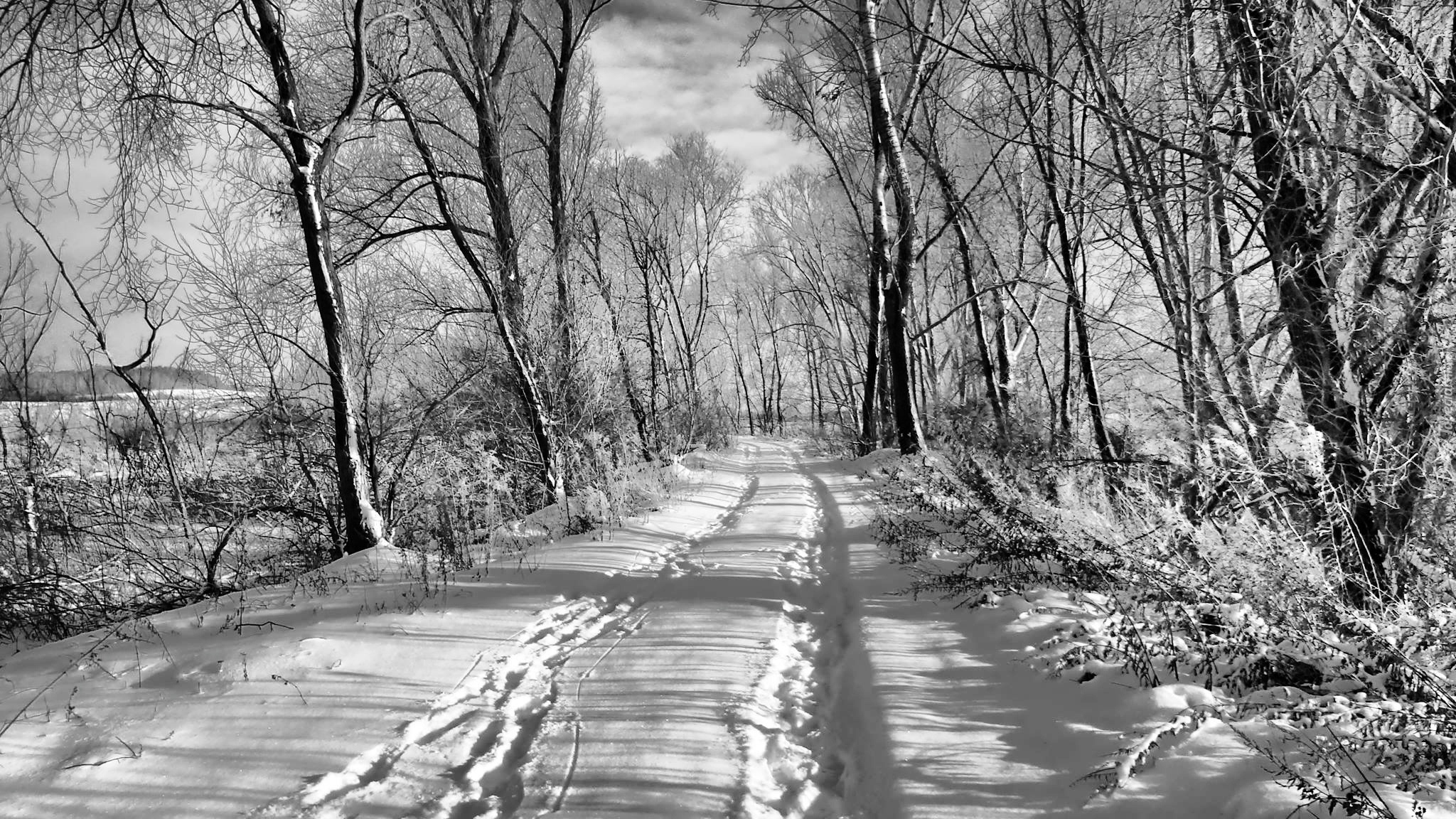 Droga, Drzewa, Śnieg, Zima