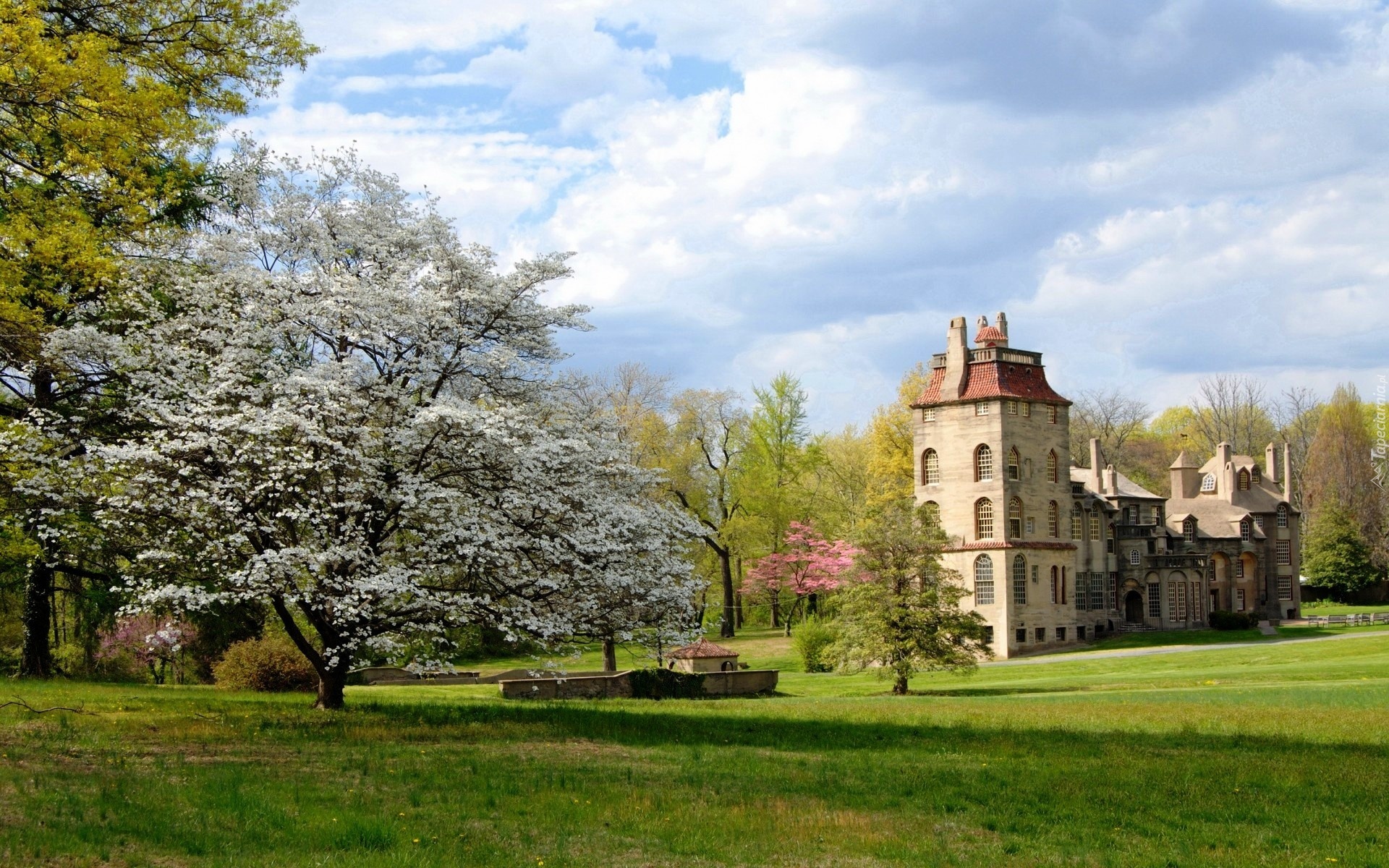 Muzeum, Fonthill Castle, Stan Pensylwania, Stany Zjednoczone, Drzewa