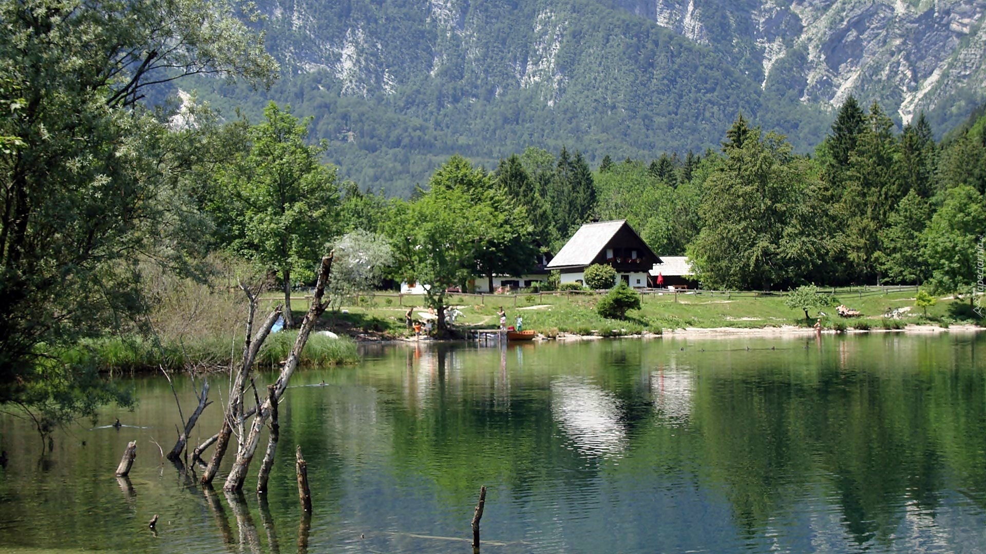 Góry, Lasy, Jezioro, Bohinj, Domy